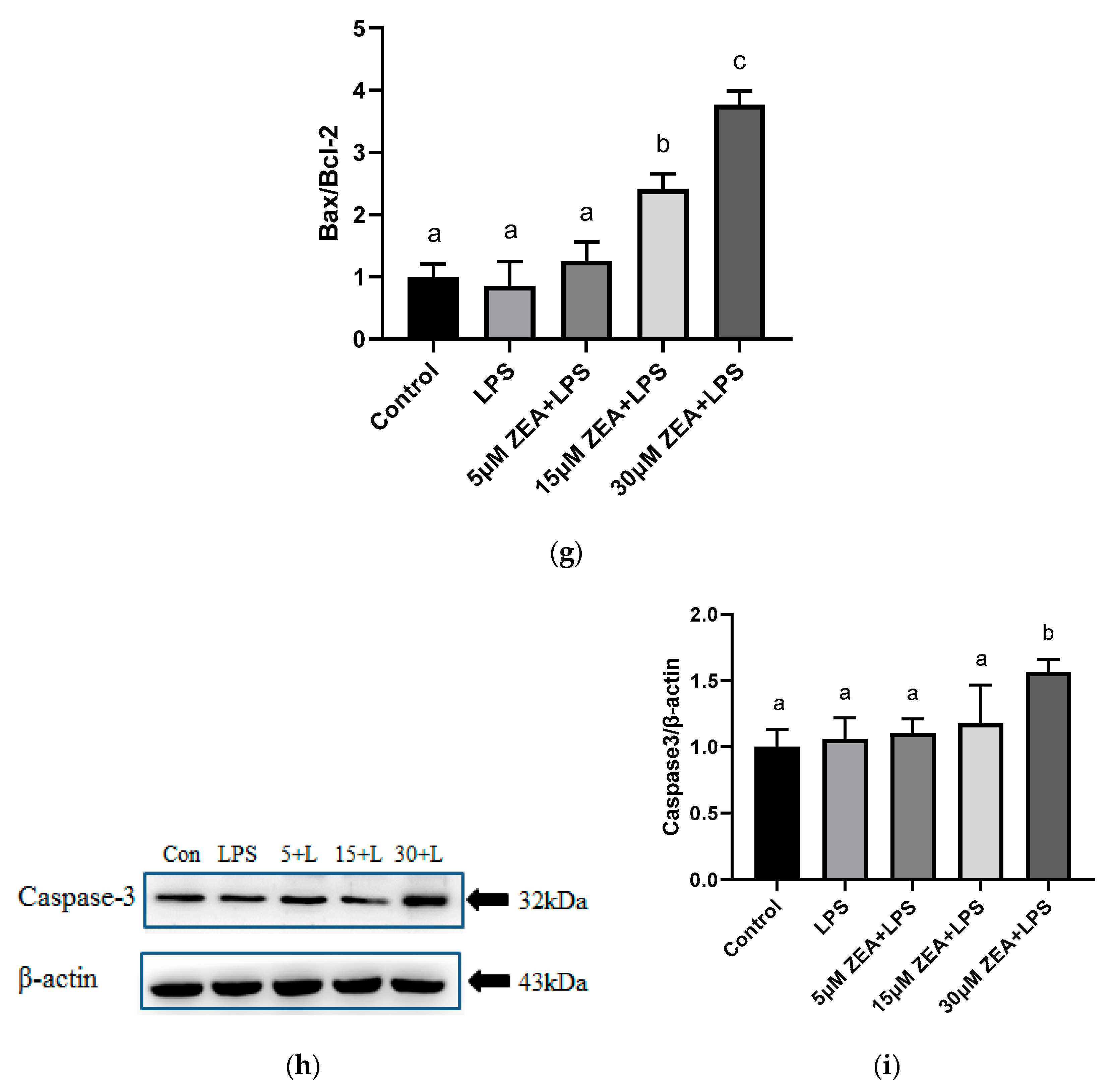 Ijms 23 10925 g006c 550
