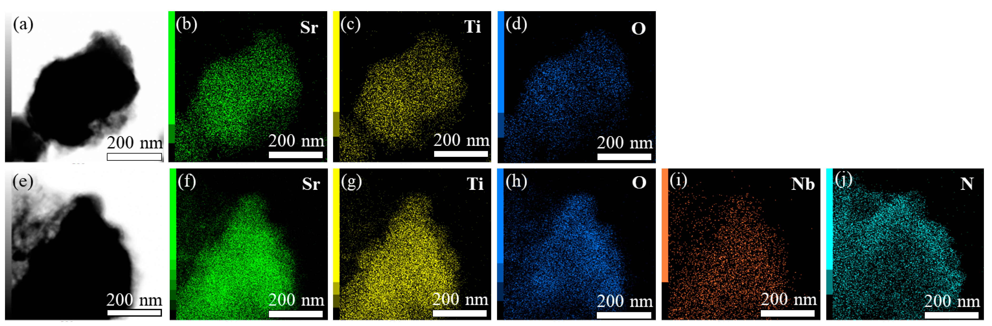 Ijms 23 10927 g003 550