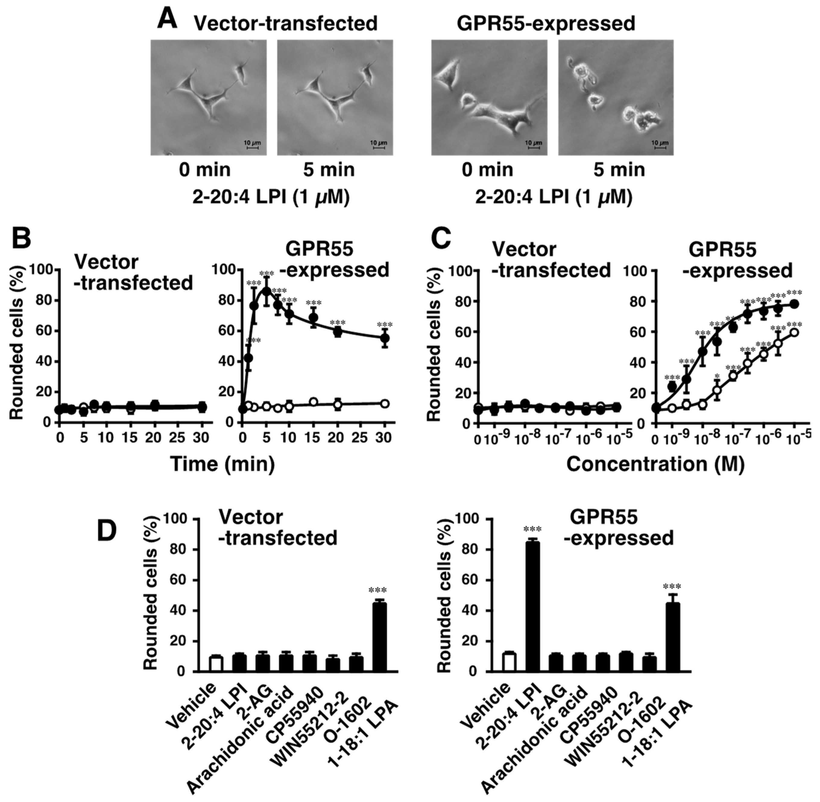 Ijms 23 10932 g001 Ijms 23 10932 g001