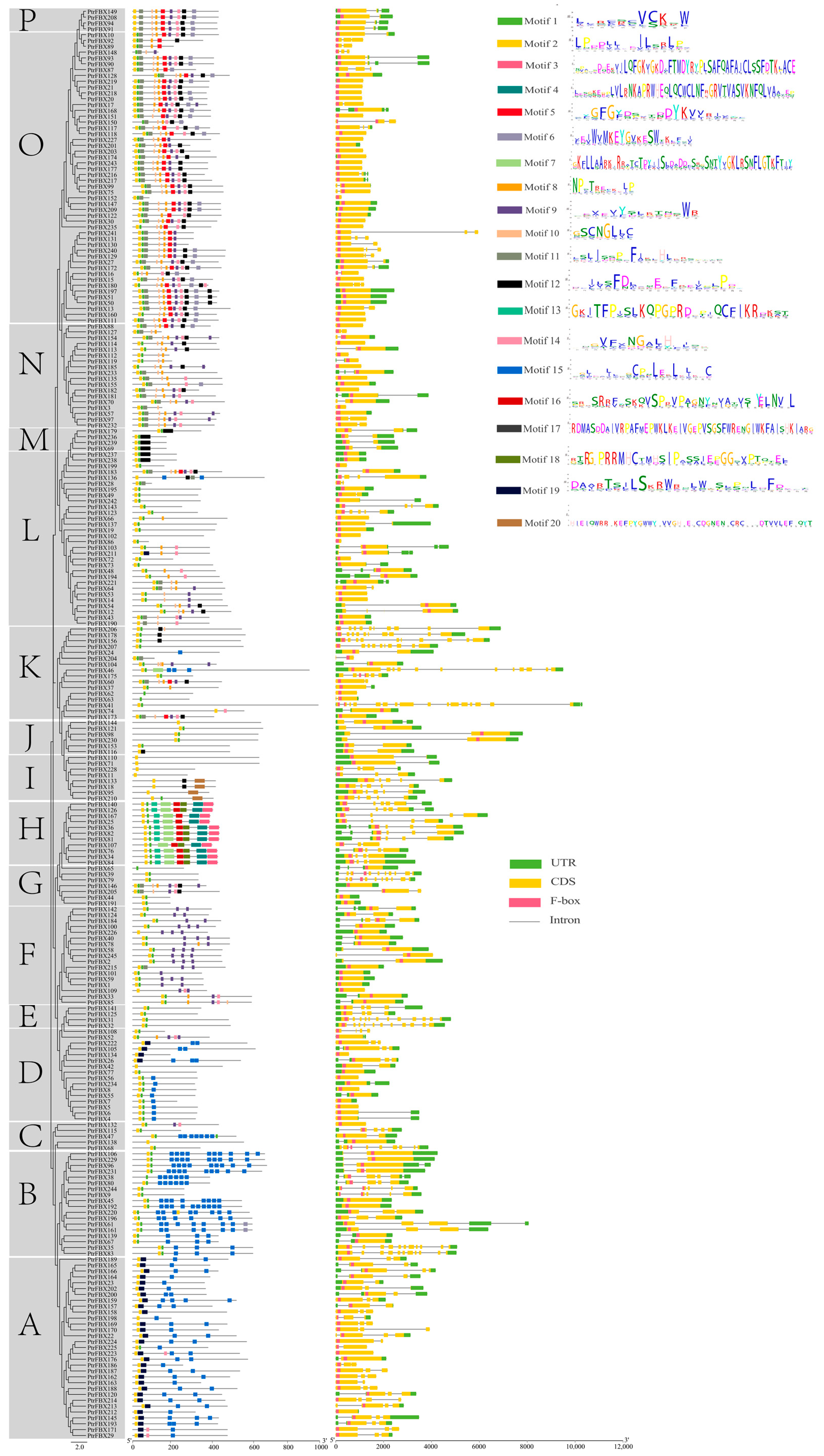 Ijms 23 10934 g003 Ijms 23 10934 g003