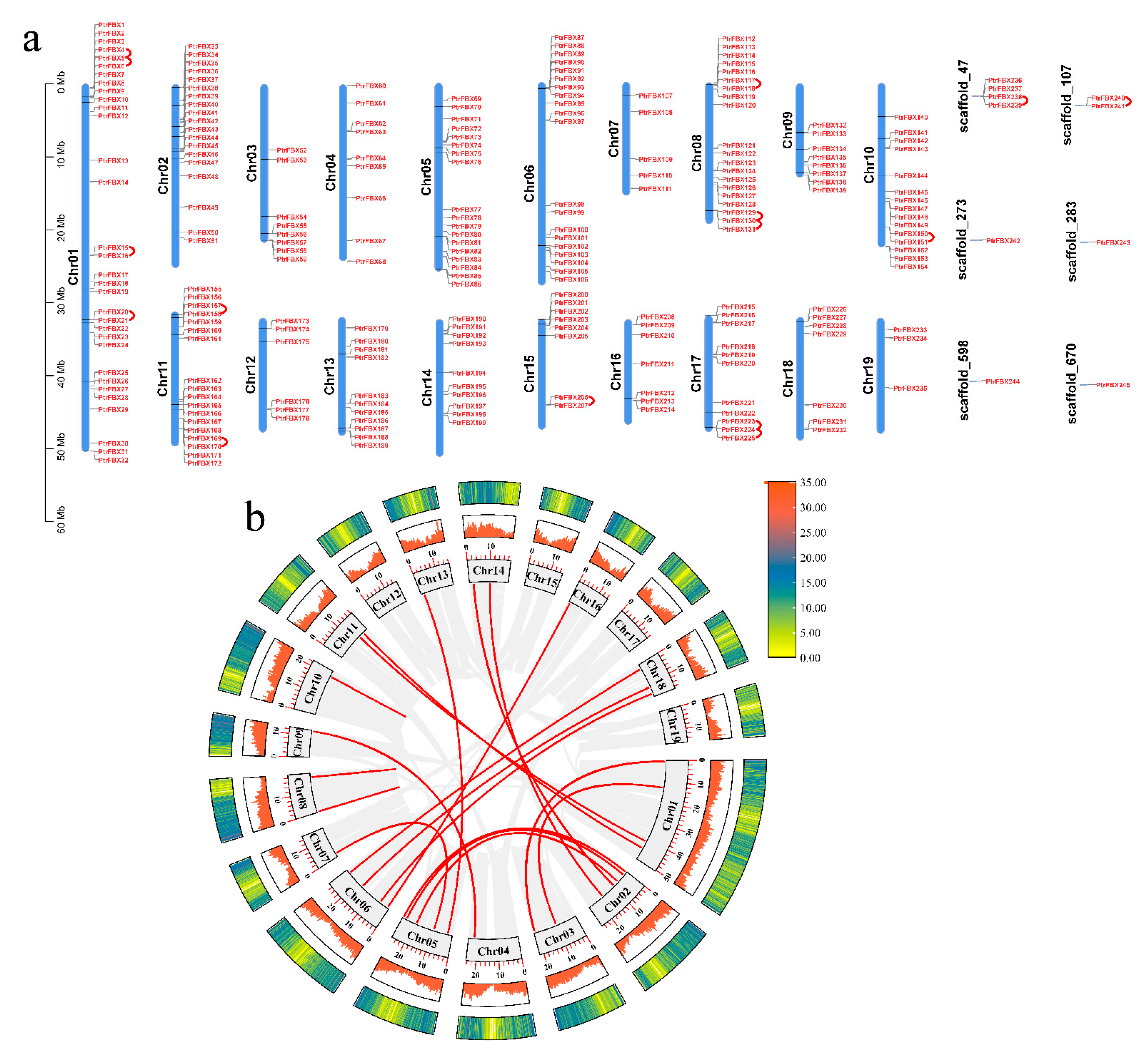 Ijms 23 10934 g004 Ijms 23 10934 g004