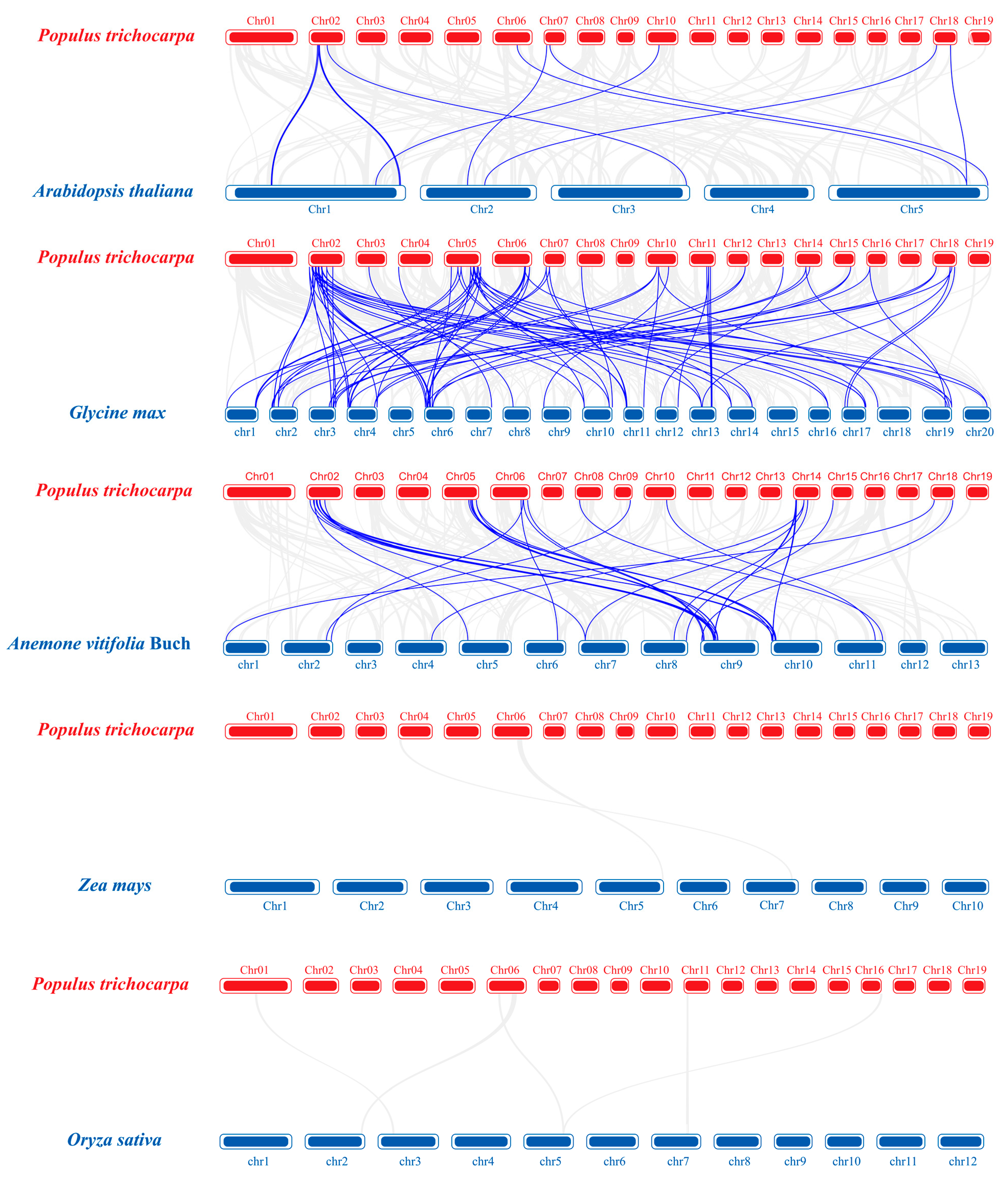 Ijms 23 10934 g005 Ijms 23 10934 g005