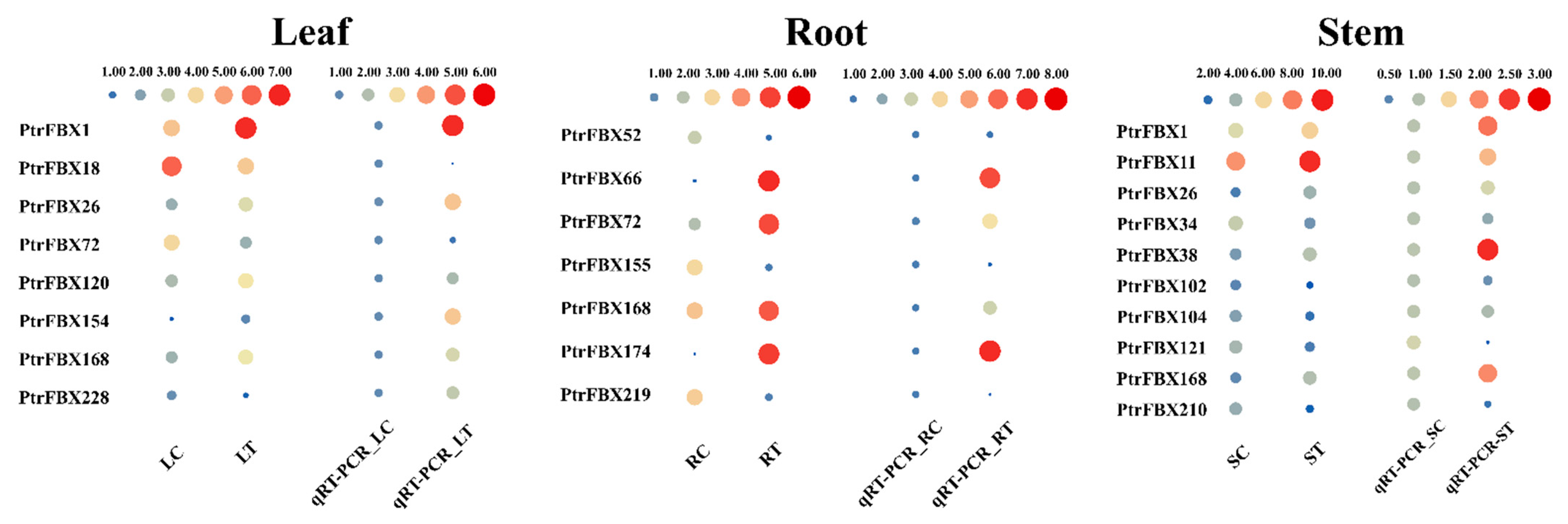 Ijms 23 10934 g007 Ijms 23 10934 g007