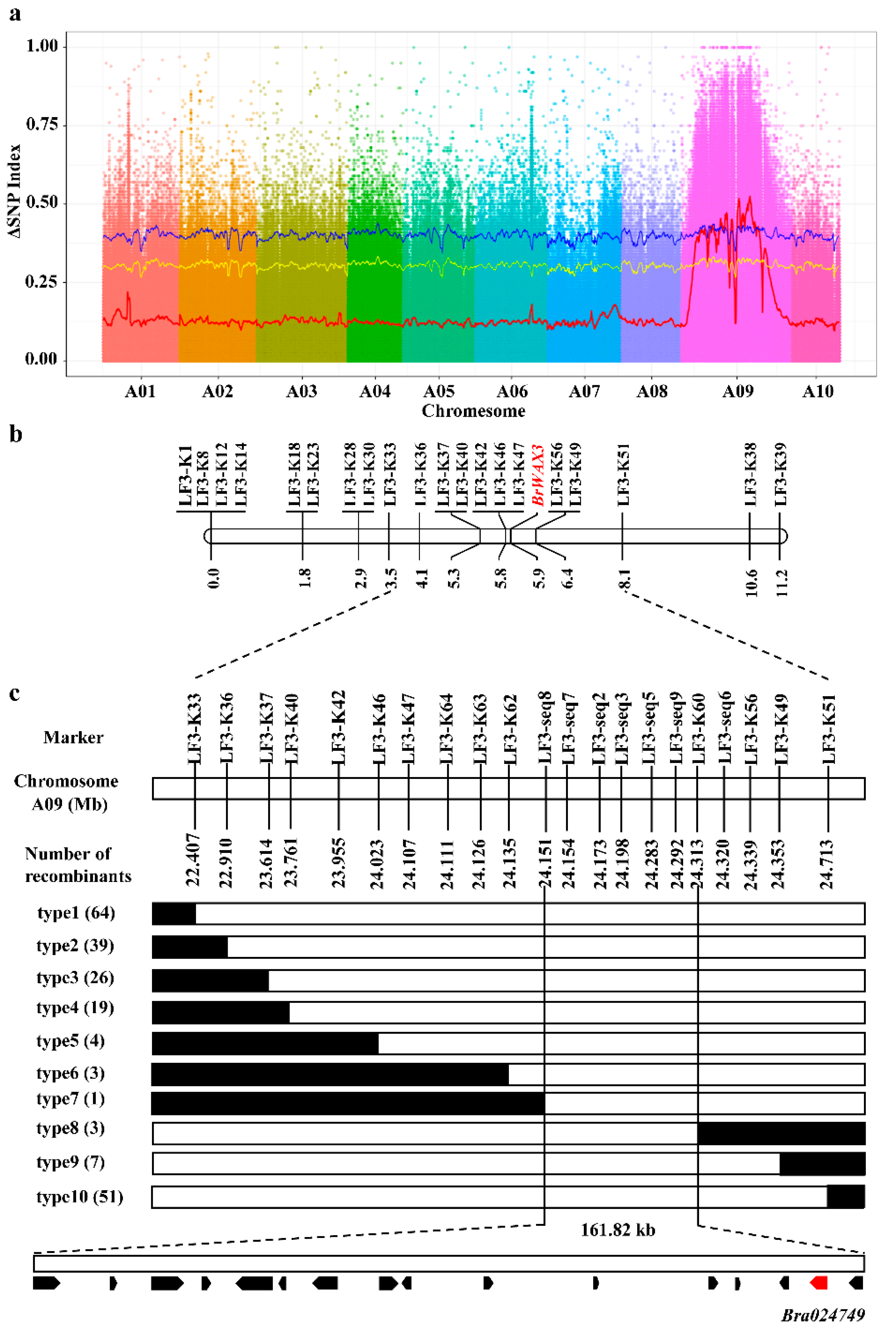 Ijms 23 10938 g003 Ijms 23 10938 g003