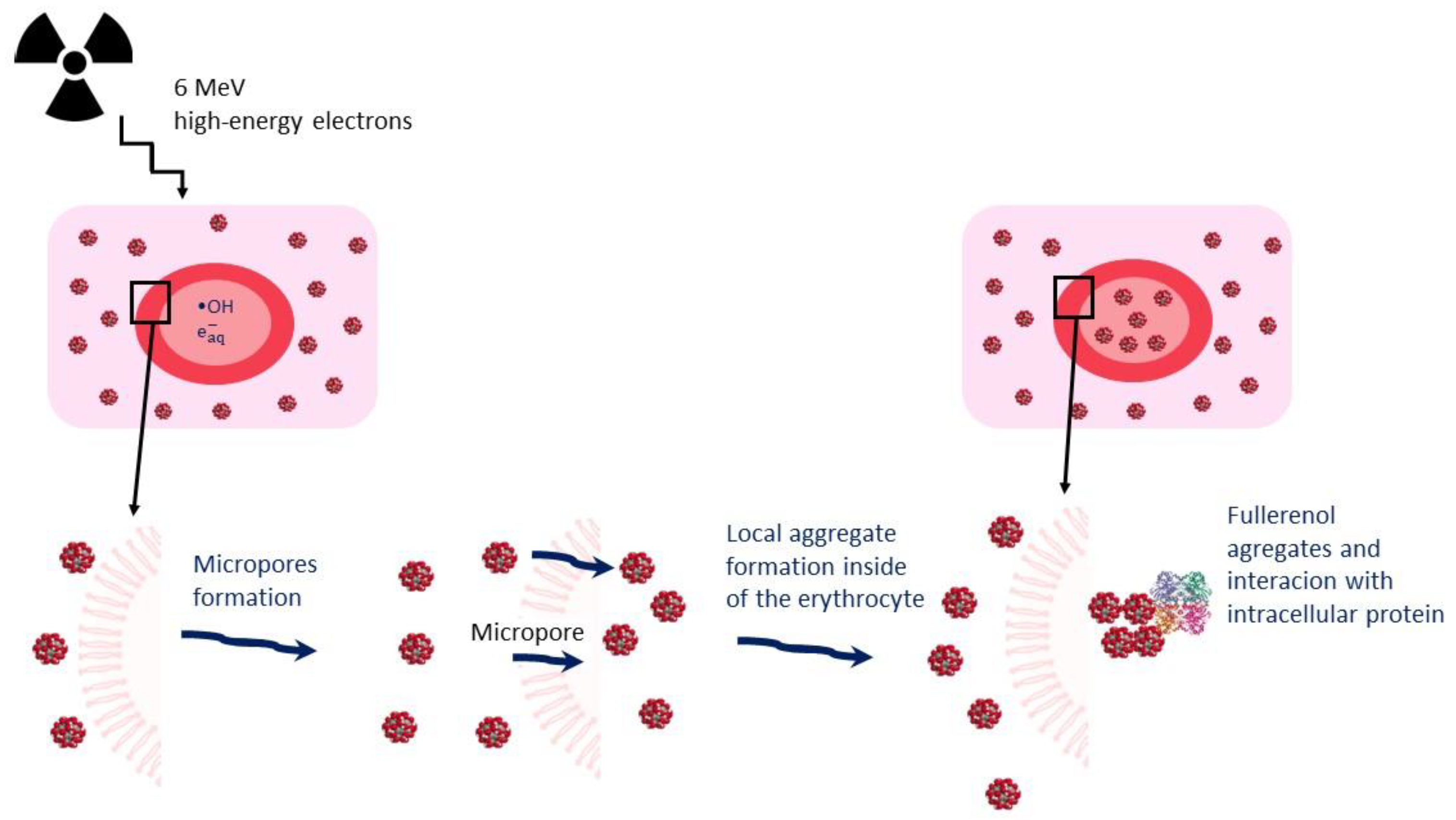 Ijms 23 10939 g004 Ijms 23 10939 g004