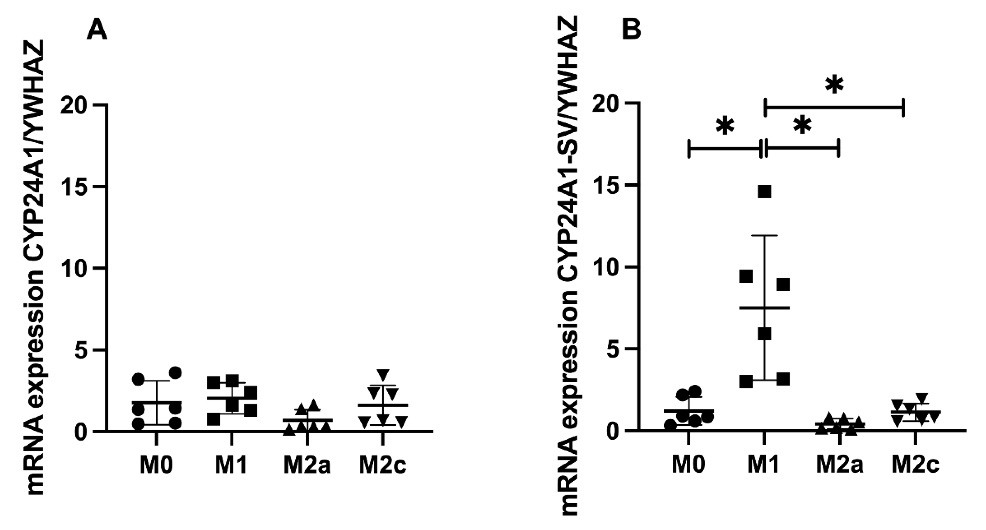 Ijms 23 10943 g004 550