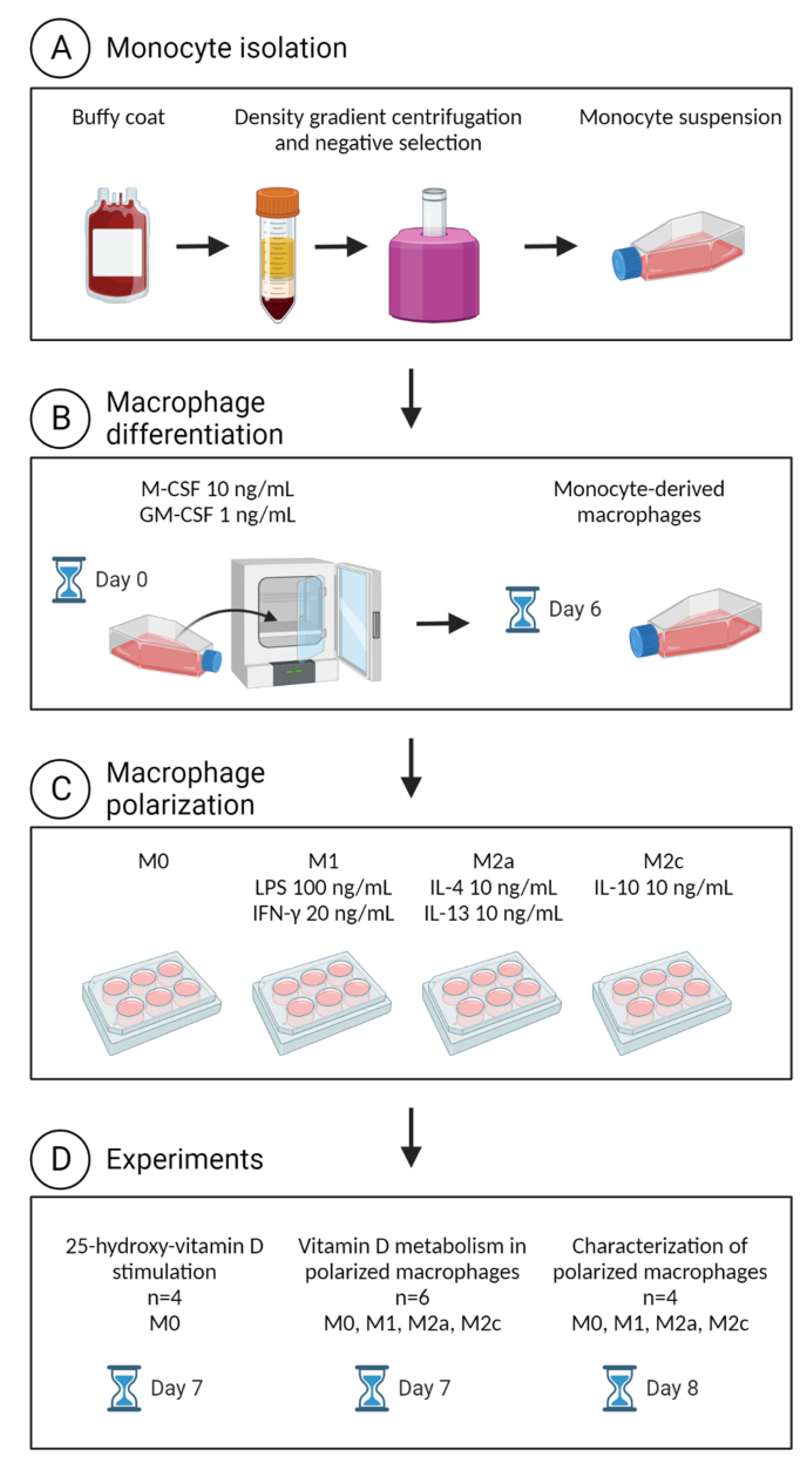Ijms 23 10943 g005 550