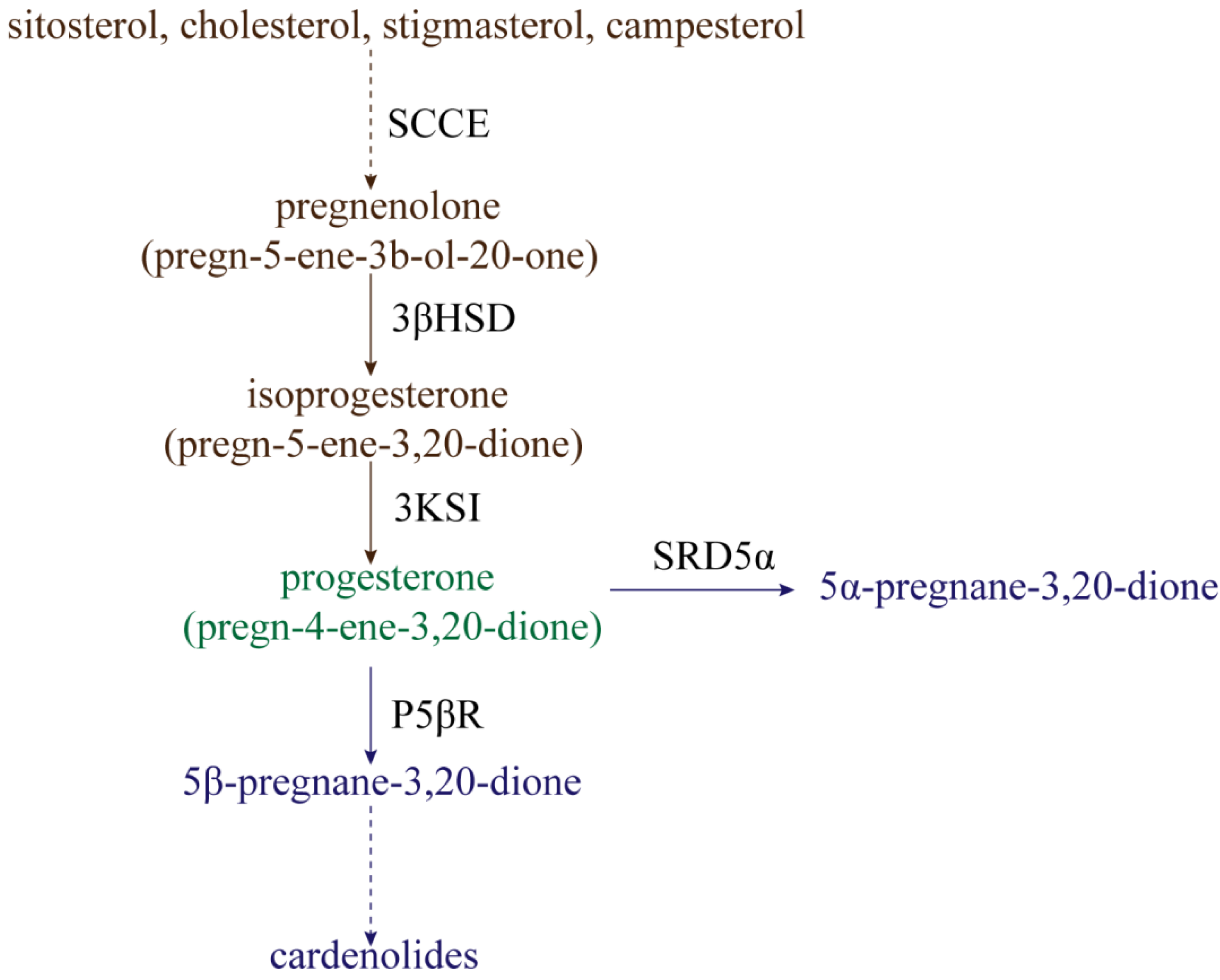 Ijms 23 10945 g001 550
