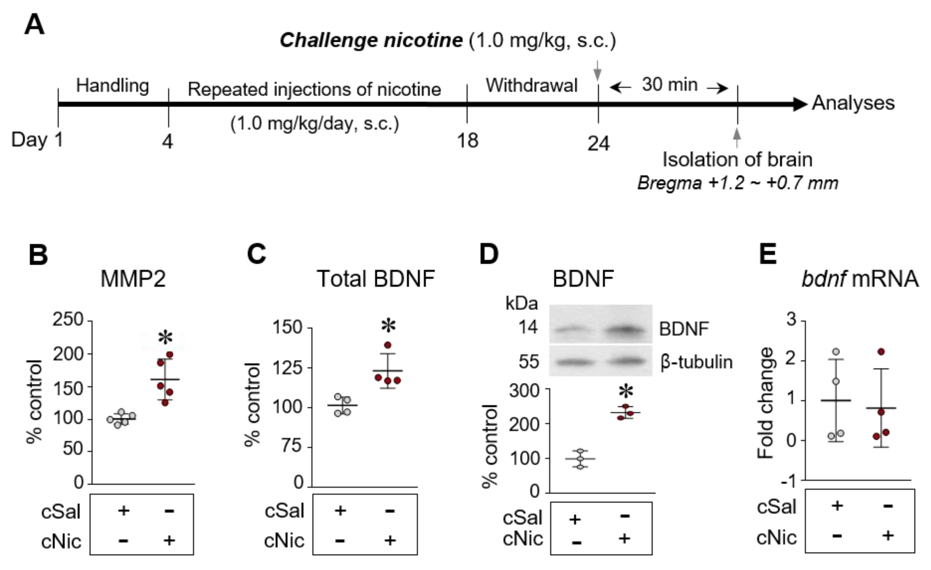 Ijms 23 10950 g001 Ijms 23 10950 g001