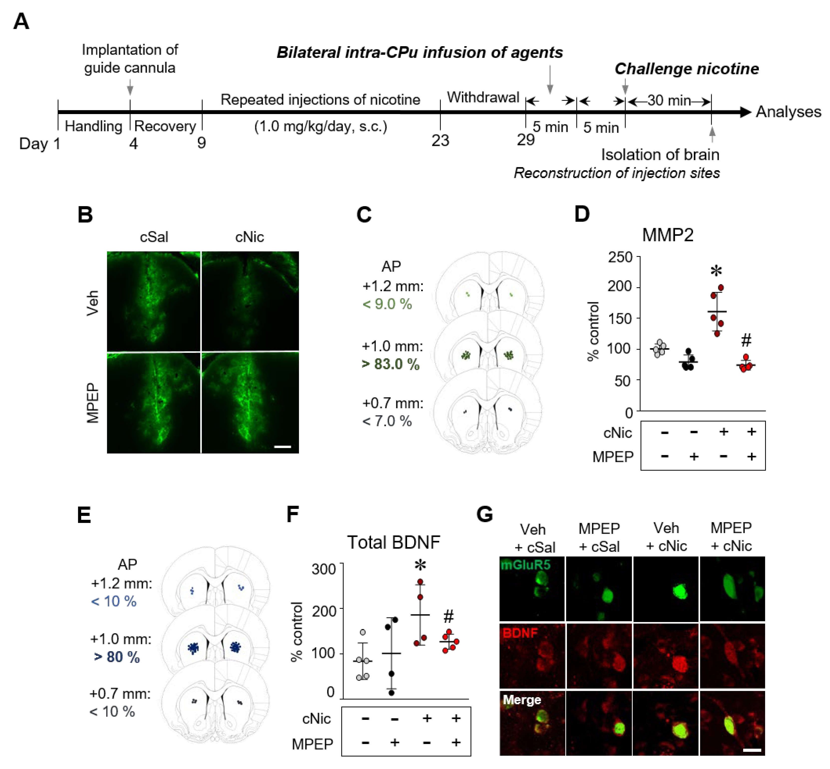 Ijms 23 10950 g002 Ijms 23 10950 g002