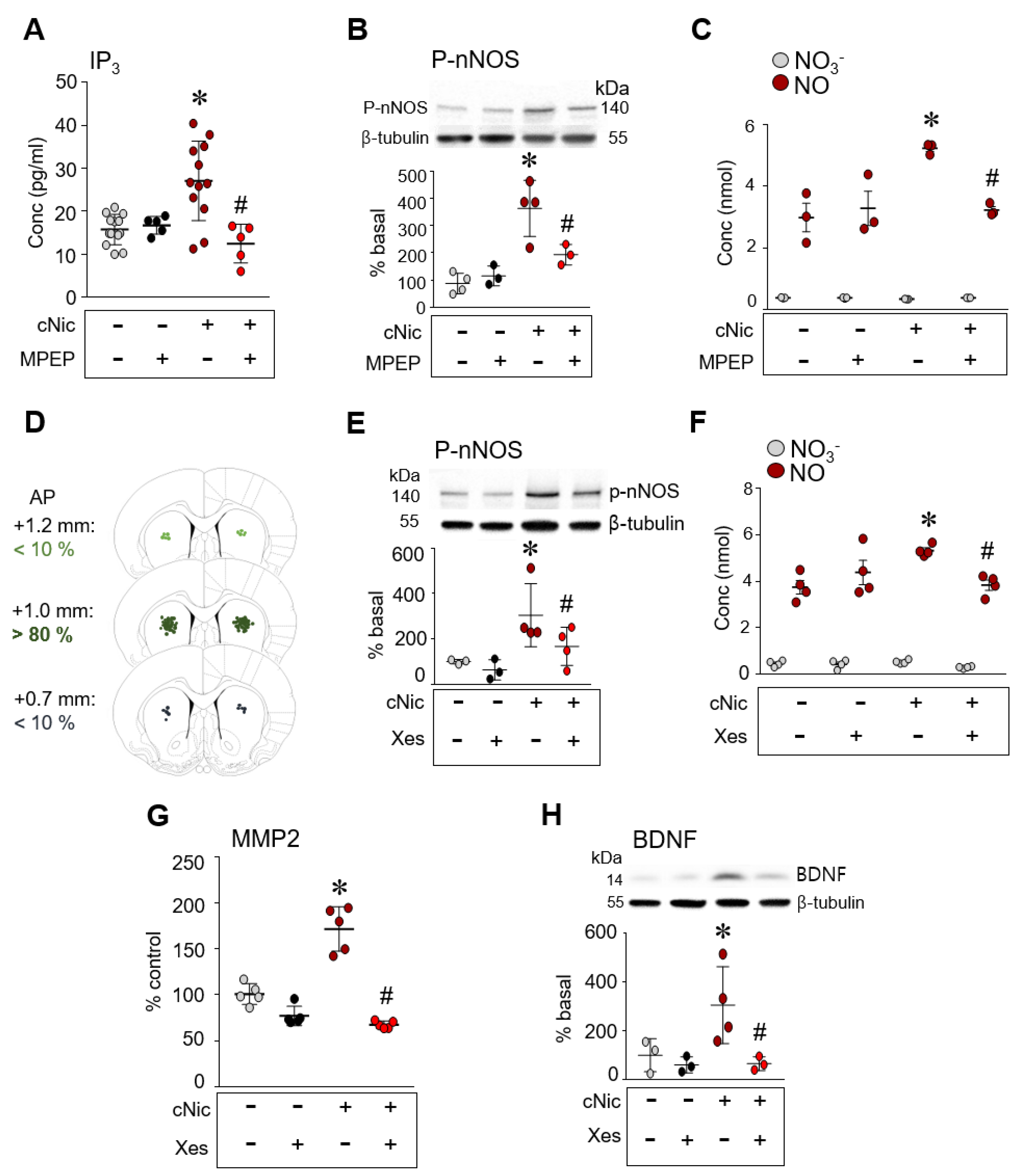 Ijms 23 10950 g003 Ijms 23 10950 g003