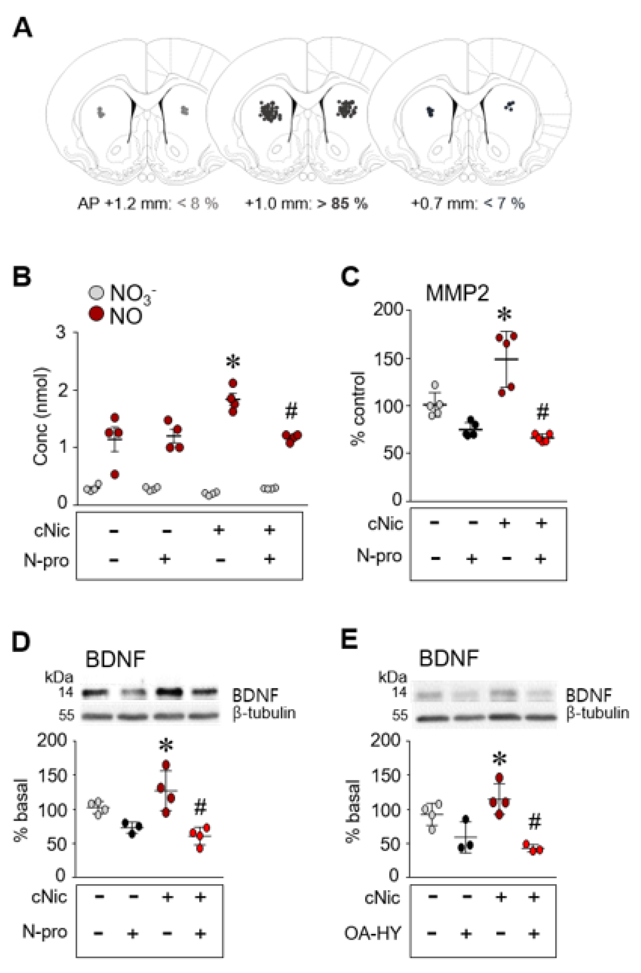 Ijms 23 10950 g004 Ijms 23 10950 g004