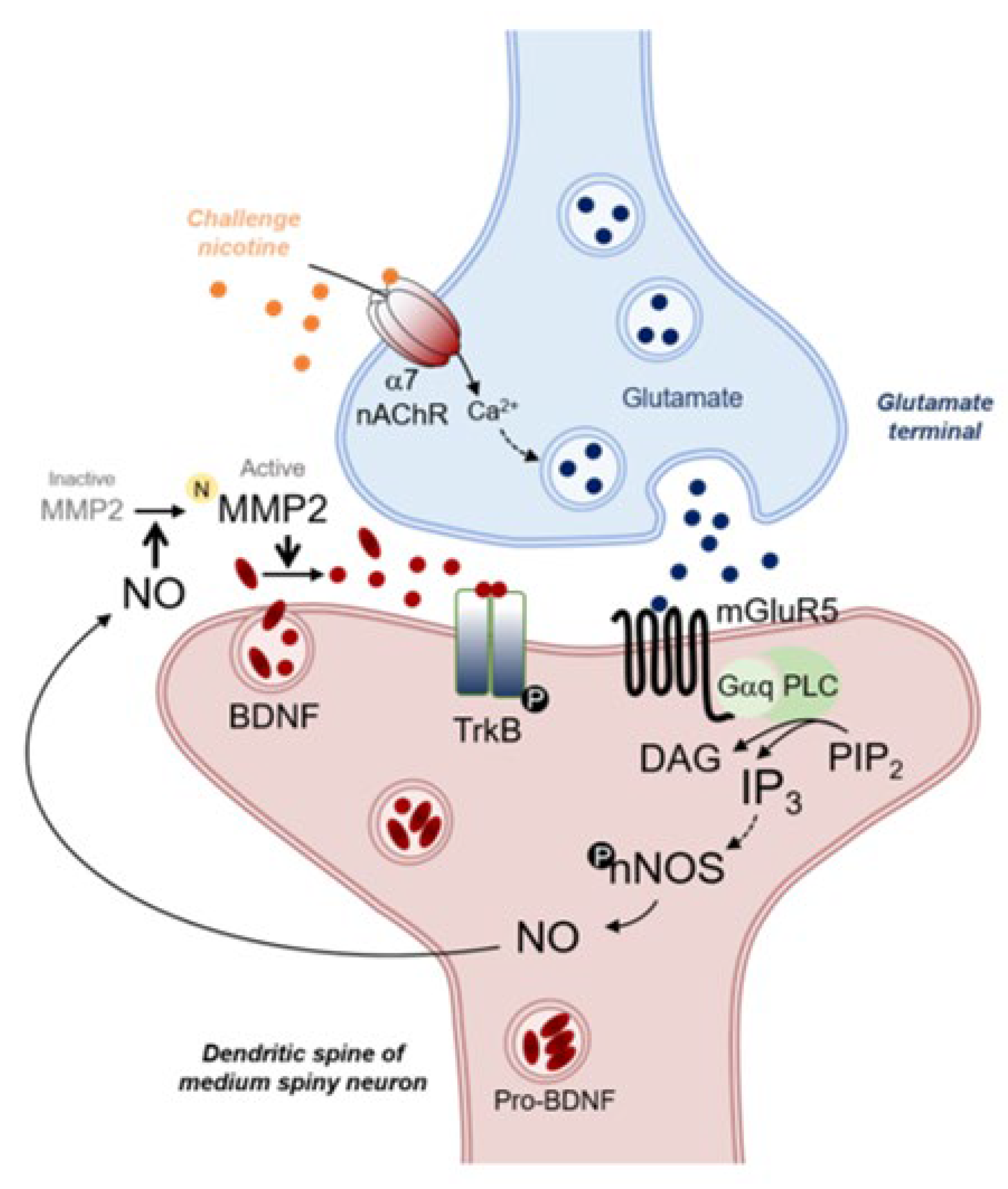 Ijms 23 10950 g005 Ijms 23 10950 g005