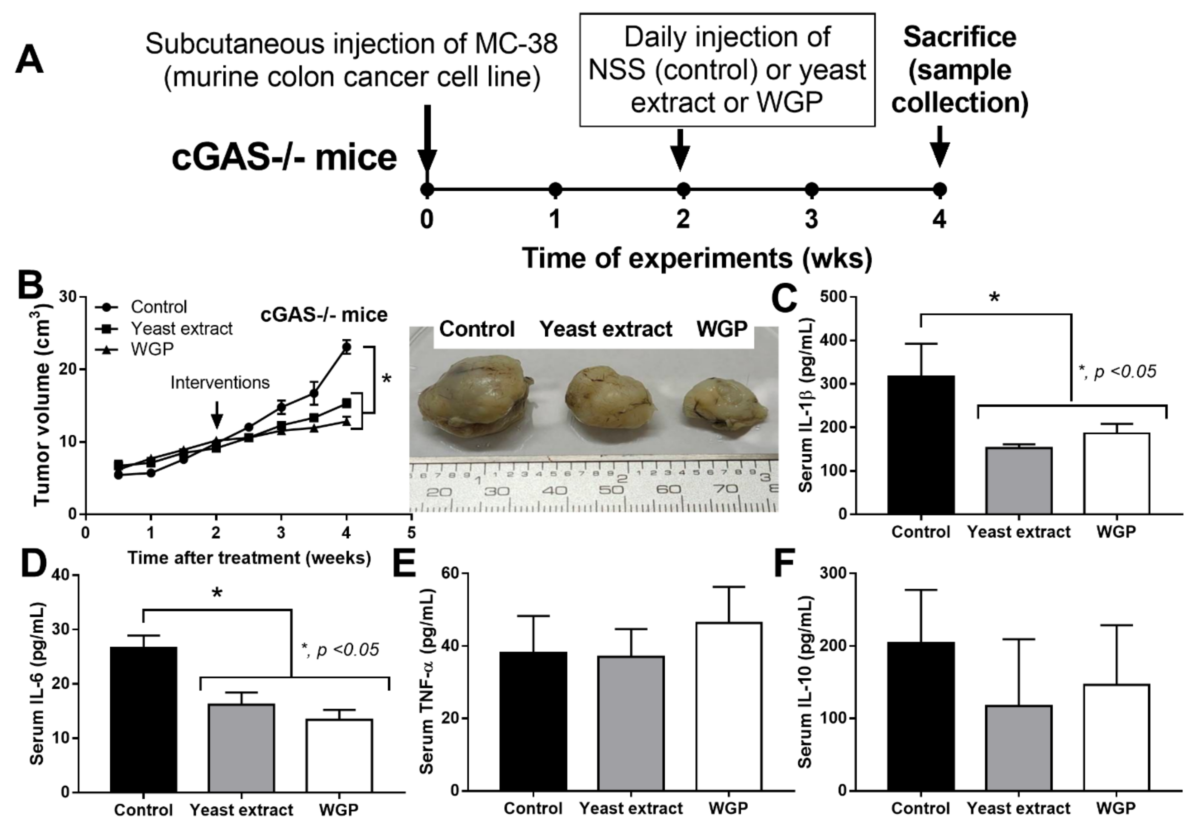Ijms 23 10951 g003 Ijms 23 10951 g003