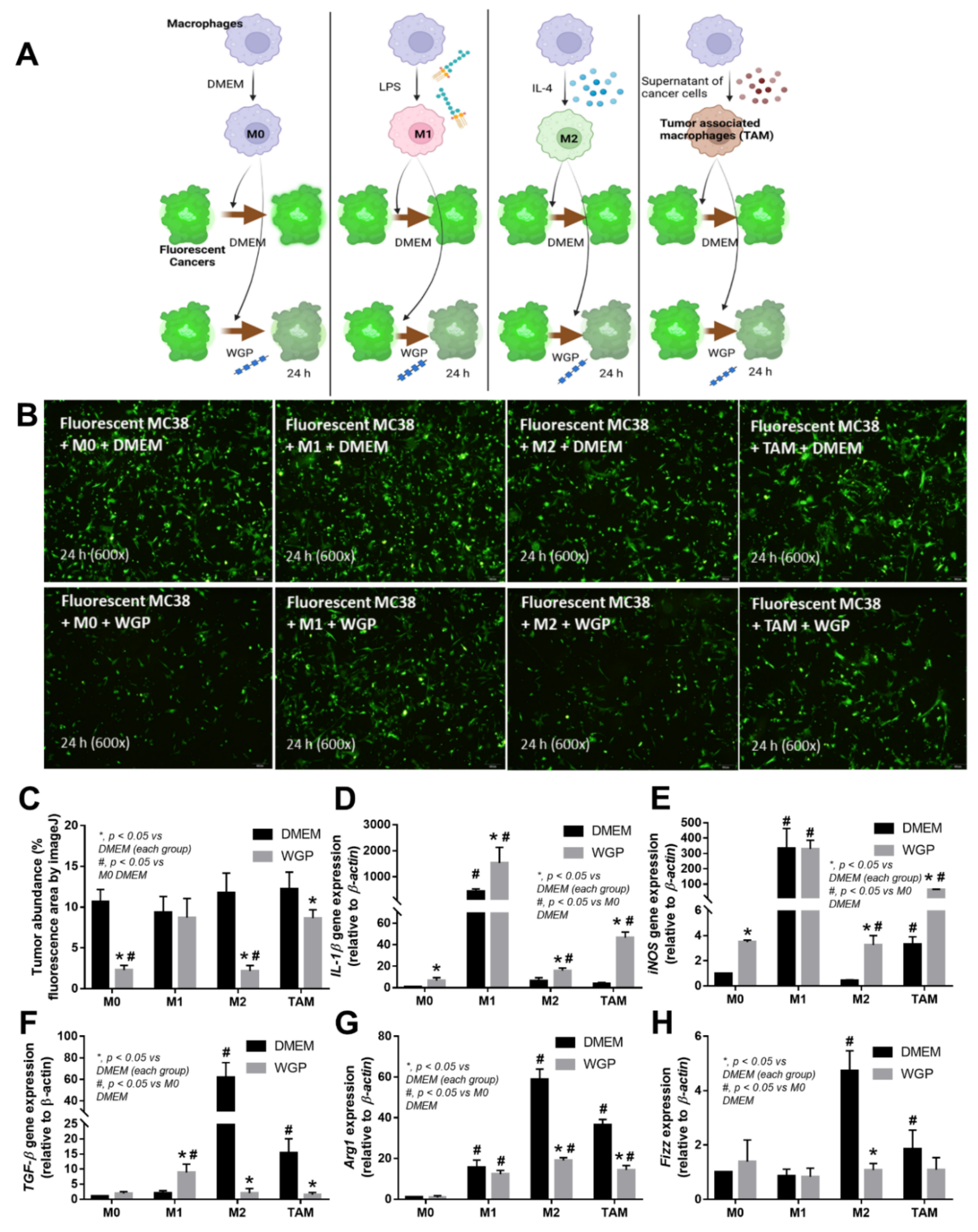 Ijms 23 10951 g004 Ijms 23 10951 g004
