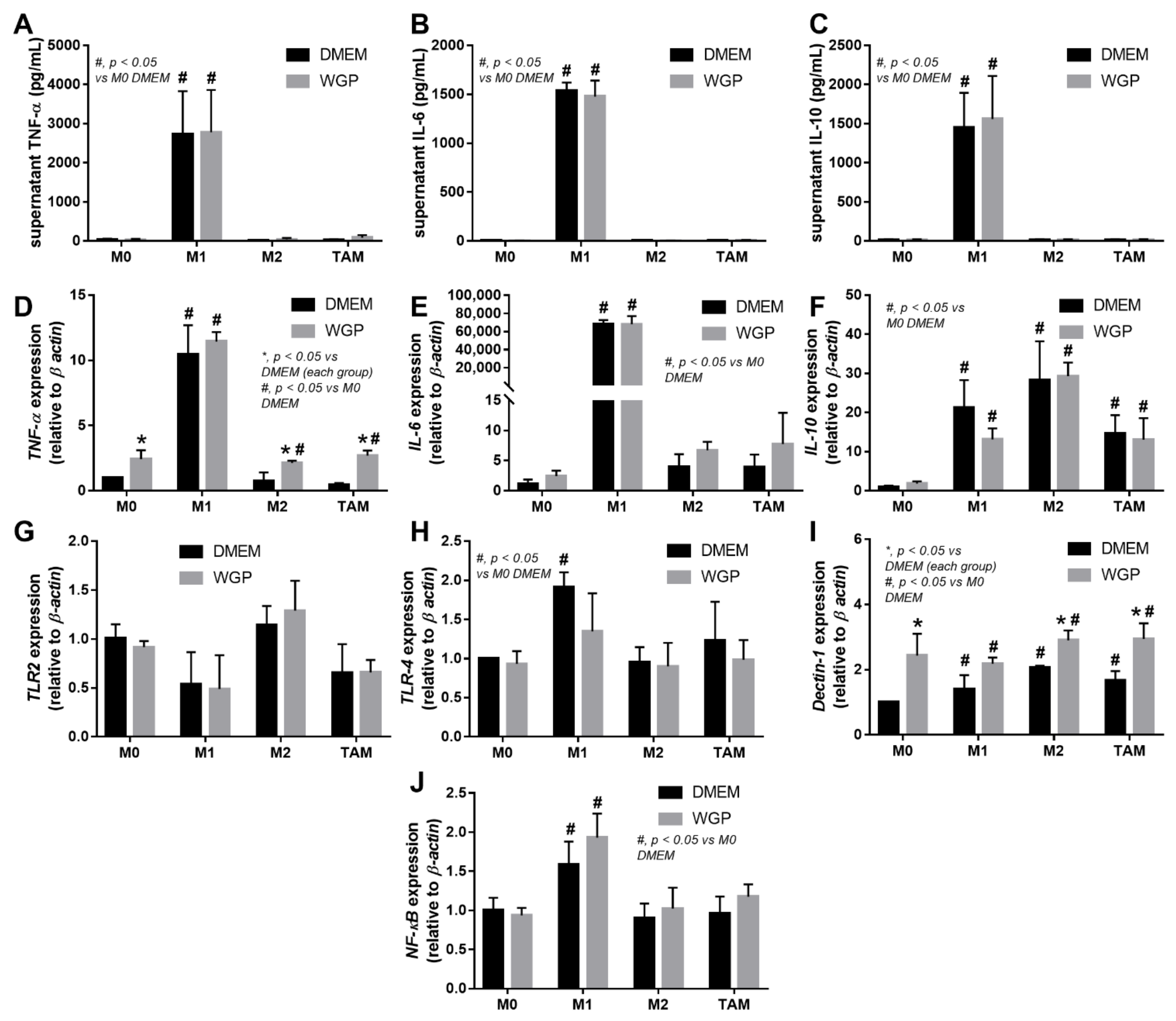 Ijms 23 10951 g005 Ijms 23 10951 g005