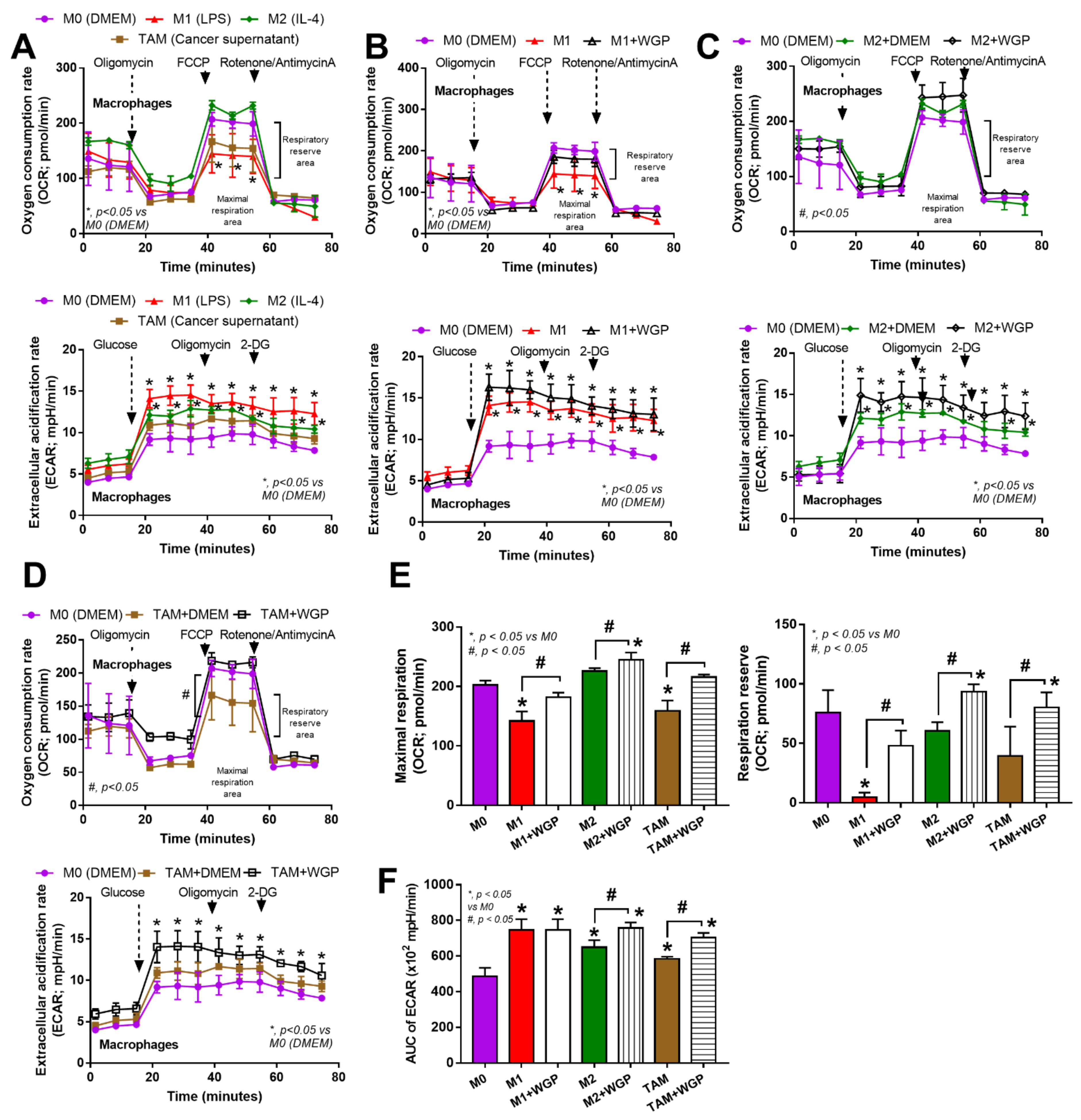 Ijms 23 10951 g006 Ijms 23 10951 g006