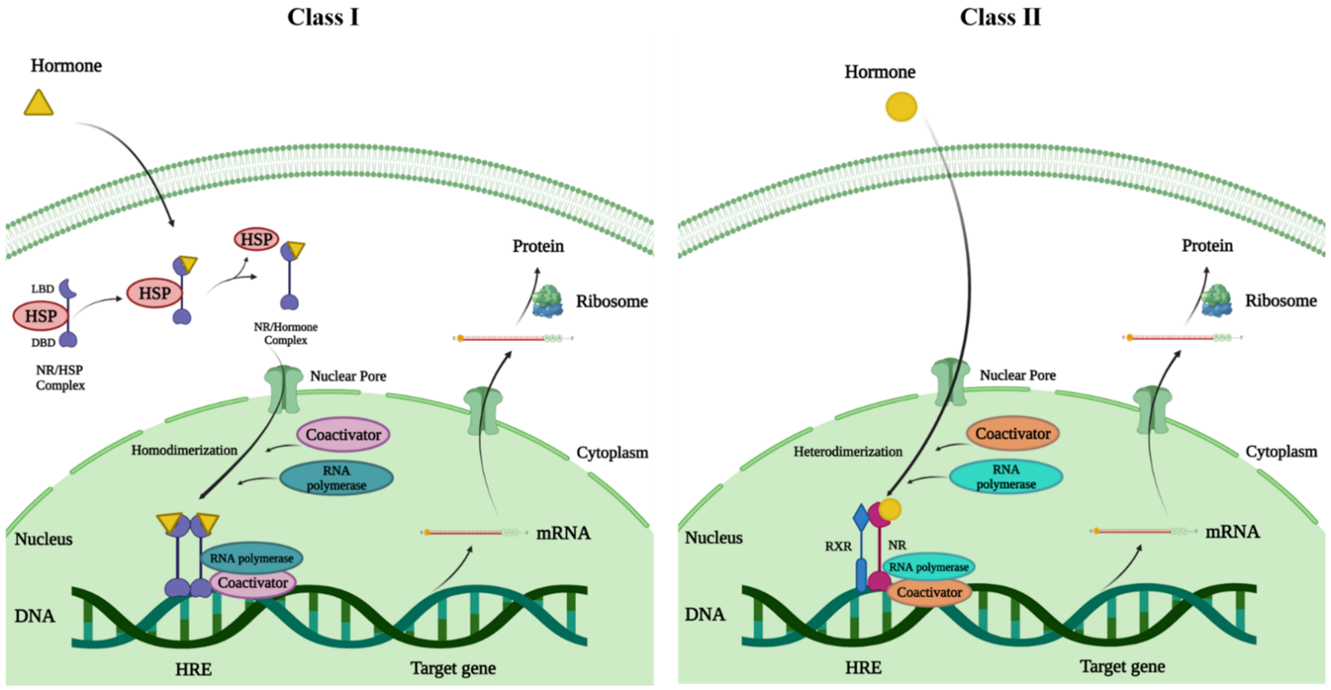 Ijms 23 10952 g002 Ijms 23 10952 g002