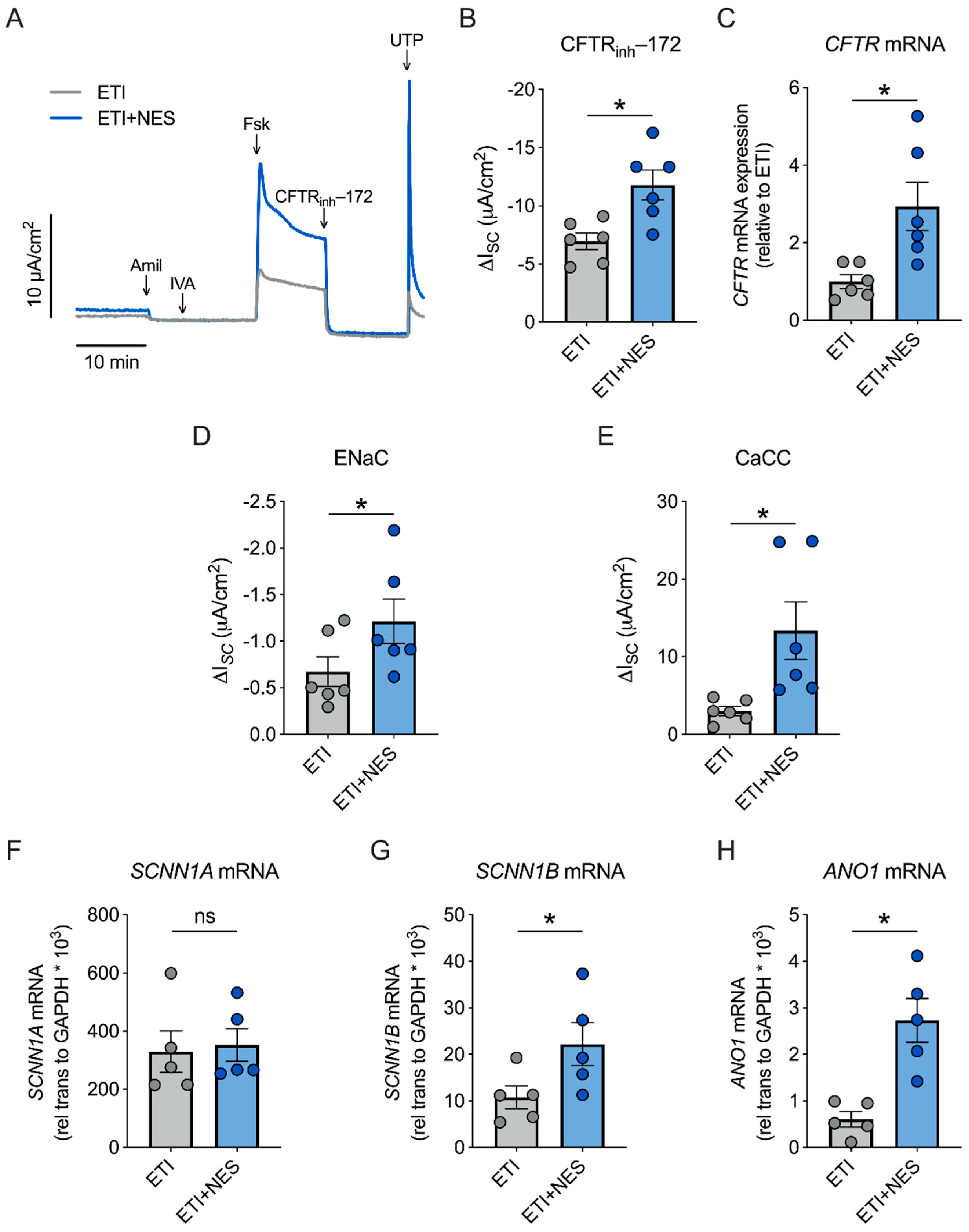 Ijms 23 10956 g002 Ijms 23 10956 g002
