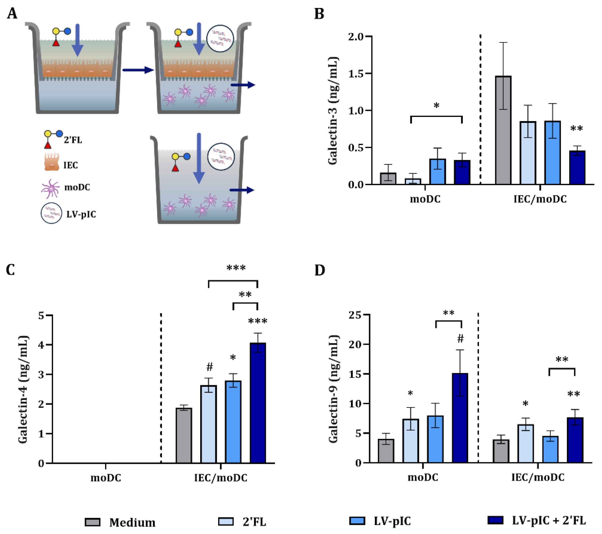 Ijms 23 10958 g003 Ijms 23 10958 g003