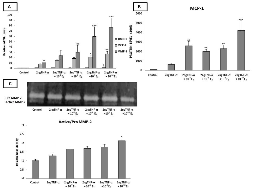 Ijms 23 10960 g002 Ijms 23 10960 g002