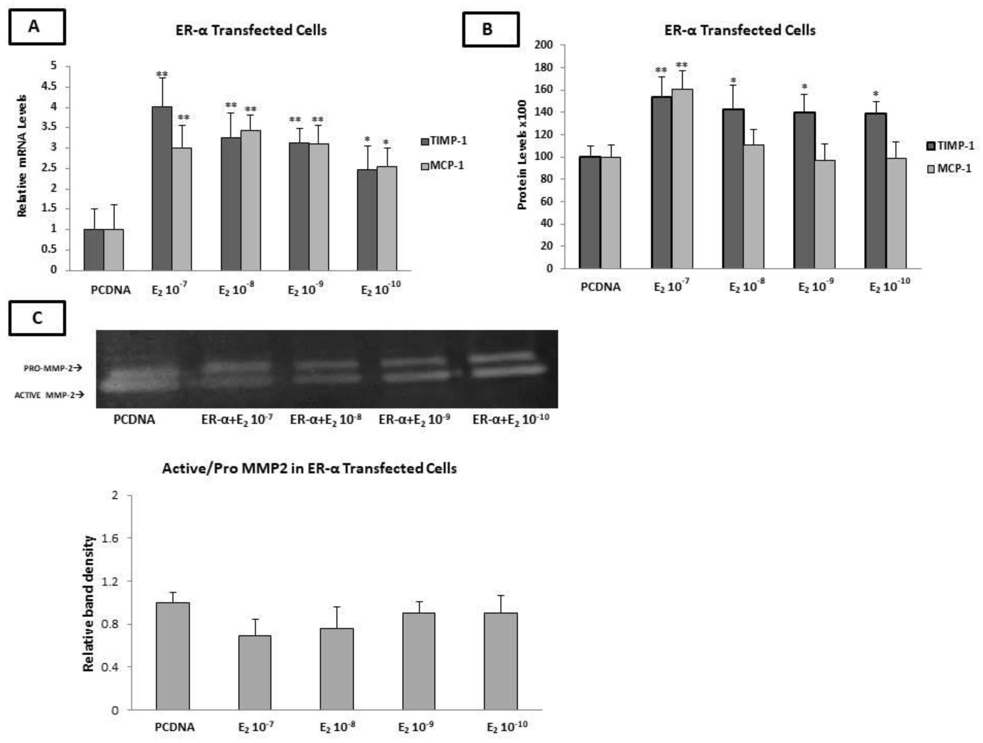 Ijms 23 10960 g004 Ijms 23 10960 g004
