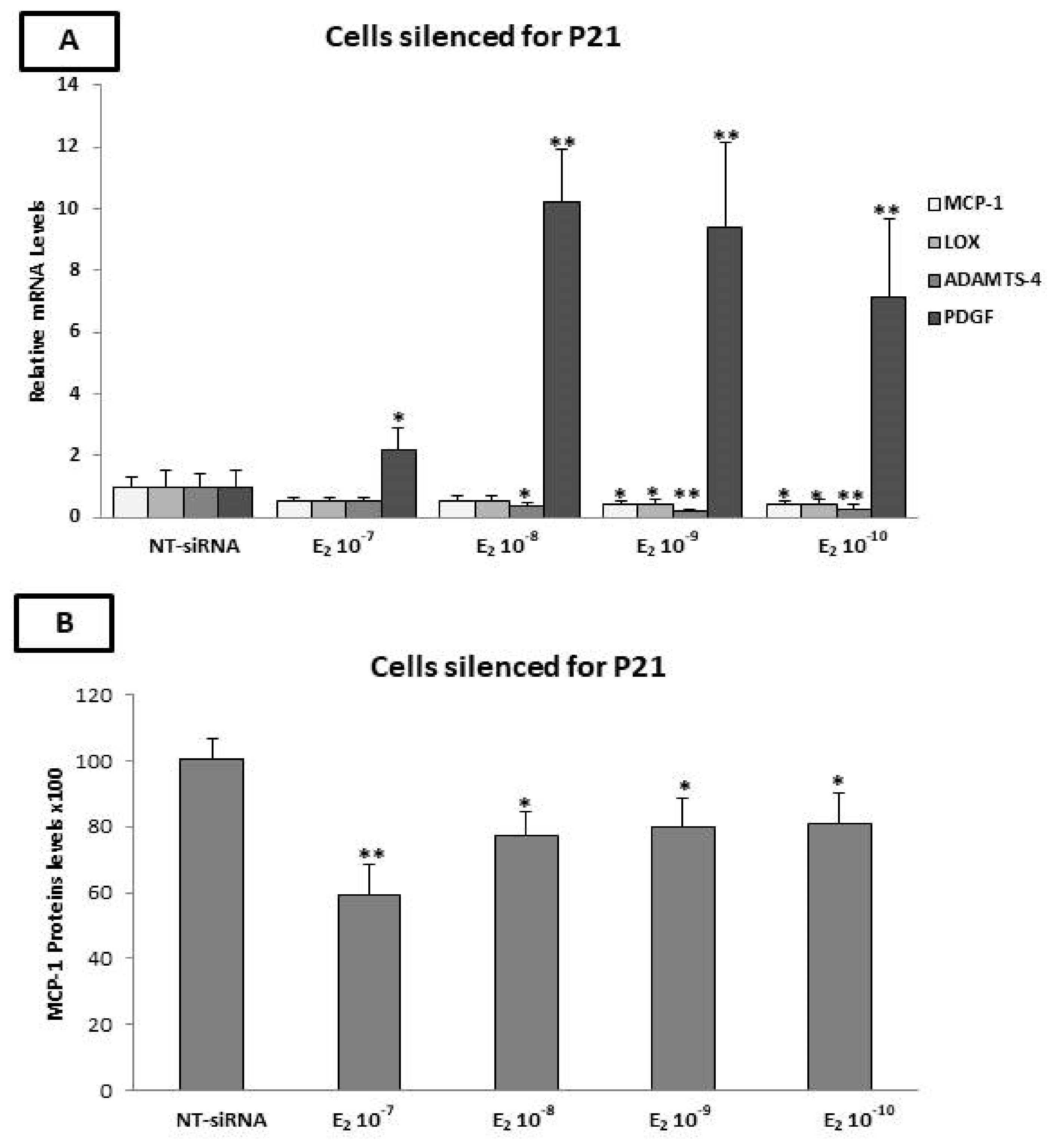 Ijms 23 10960 g006 Ijms 23 10960 g006