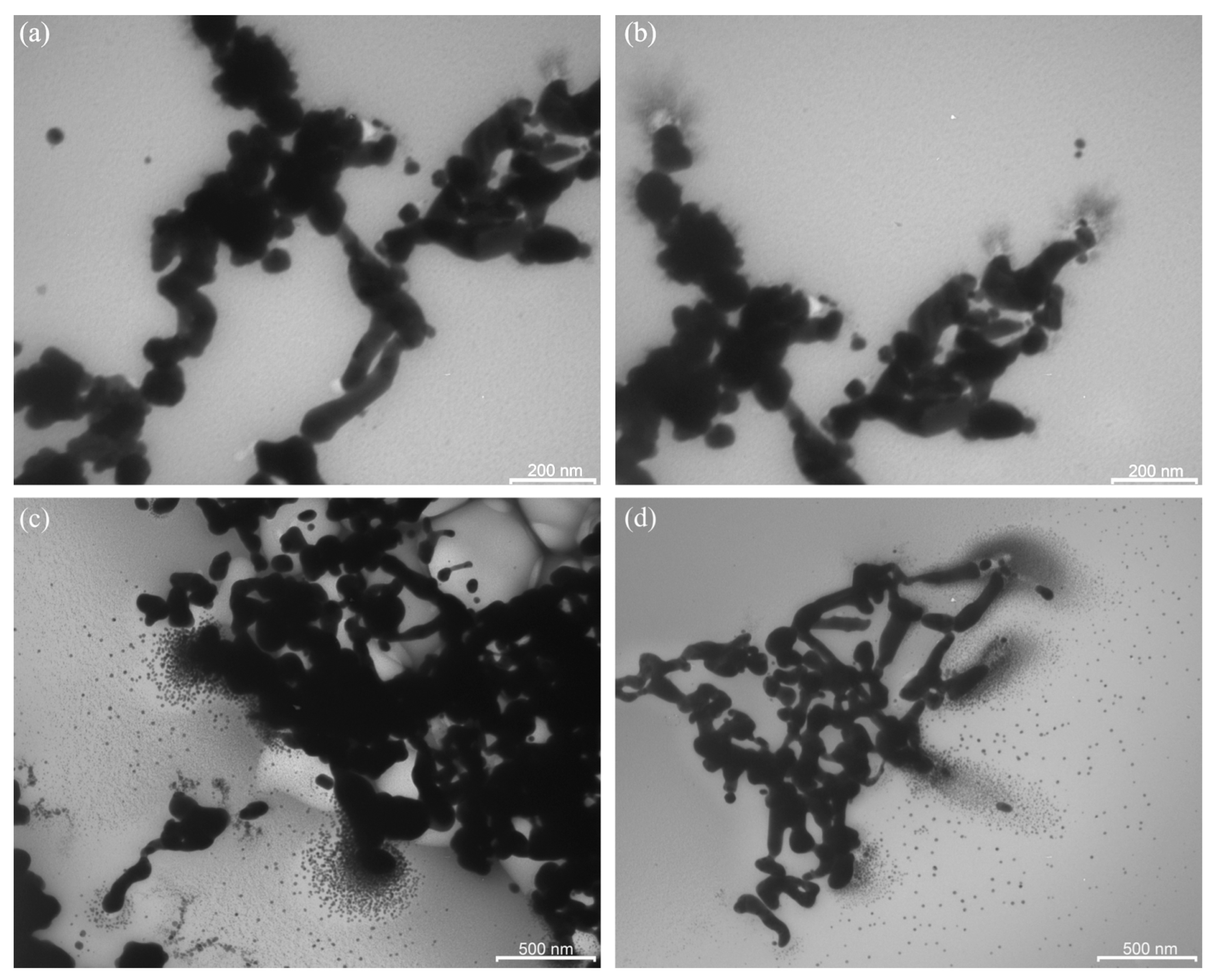 Ijms 23 10963 g005 550