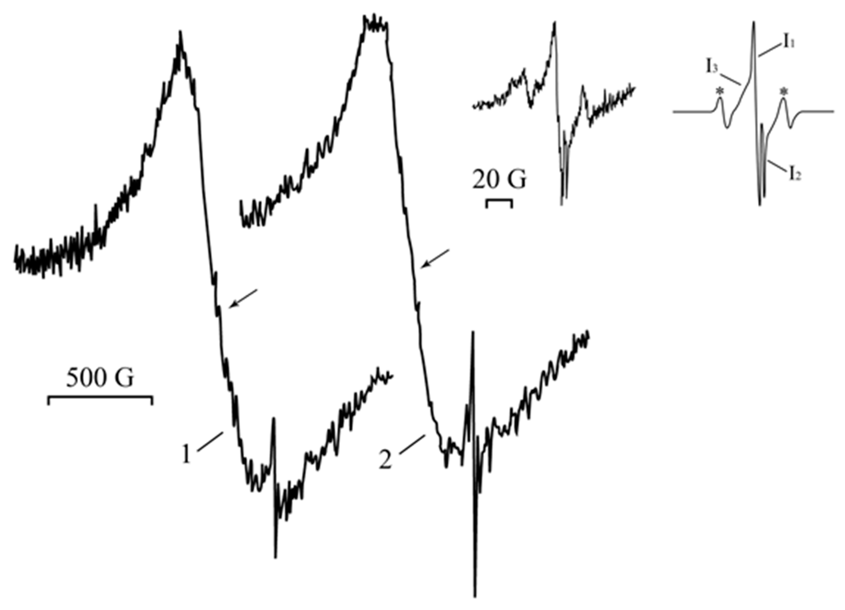 Ijms 23 10963 g006 550