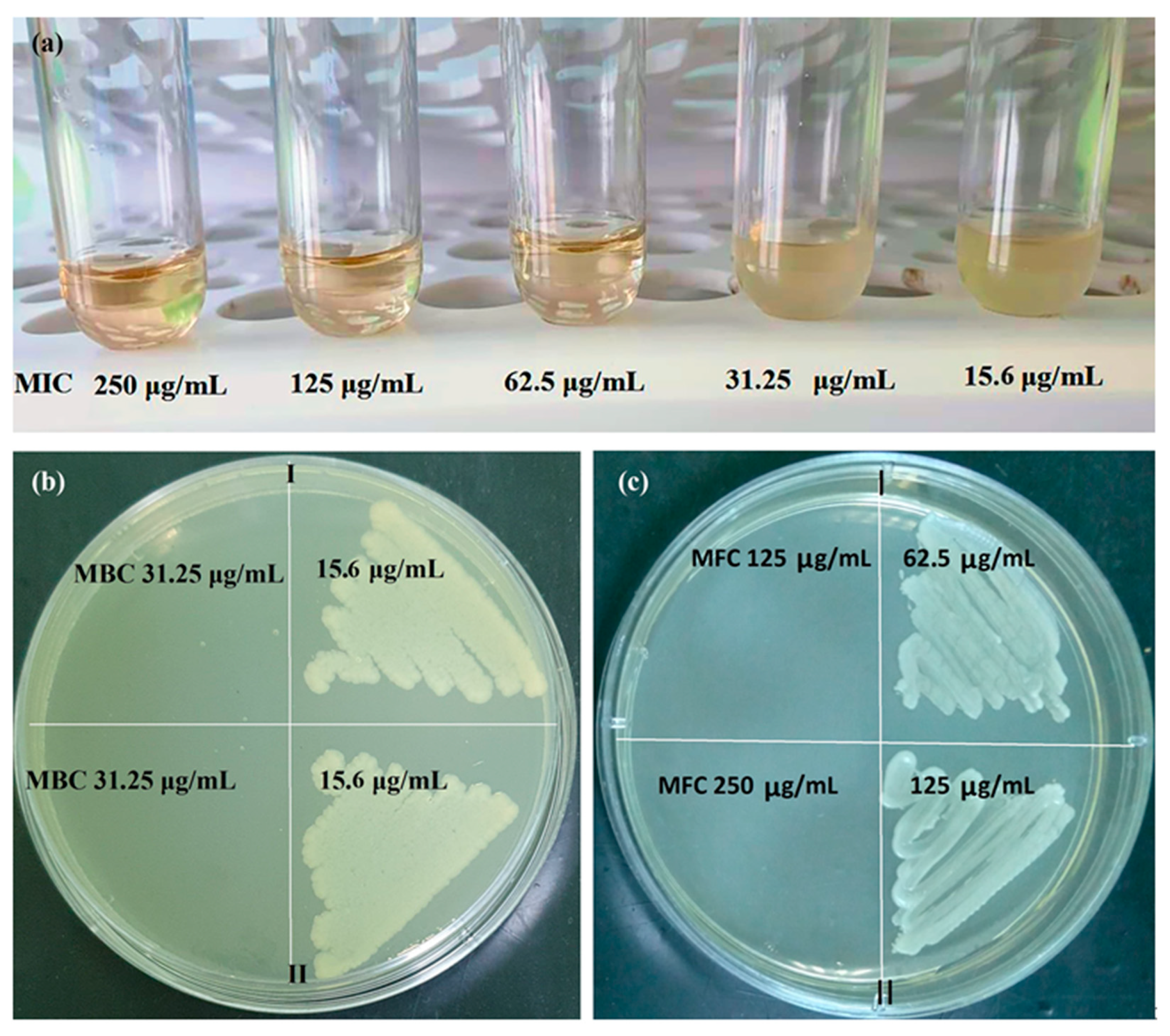 Ijms 23 10963 g009 550