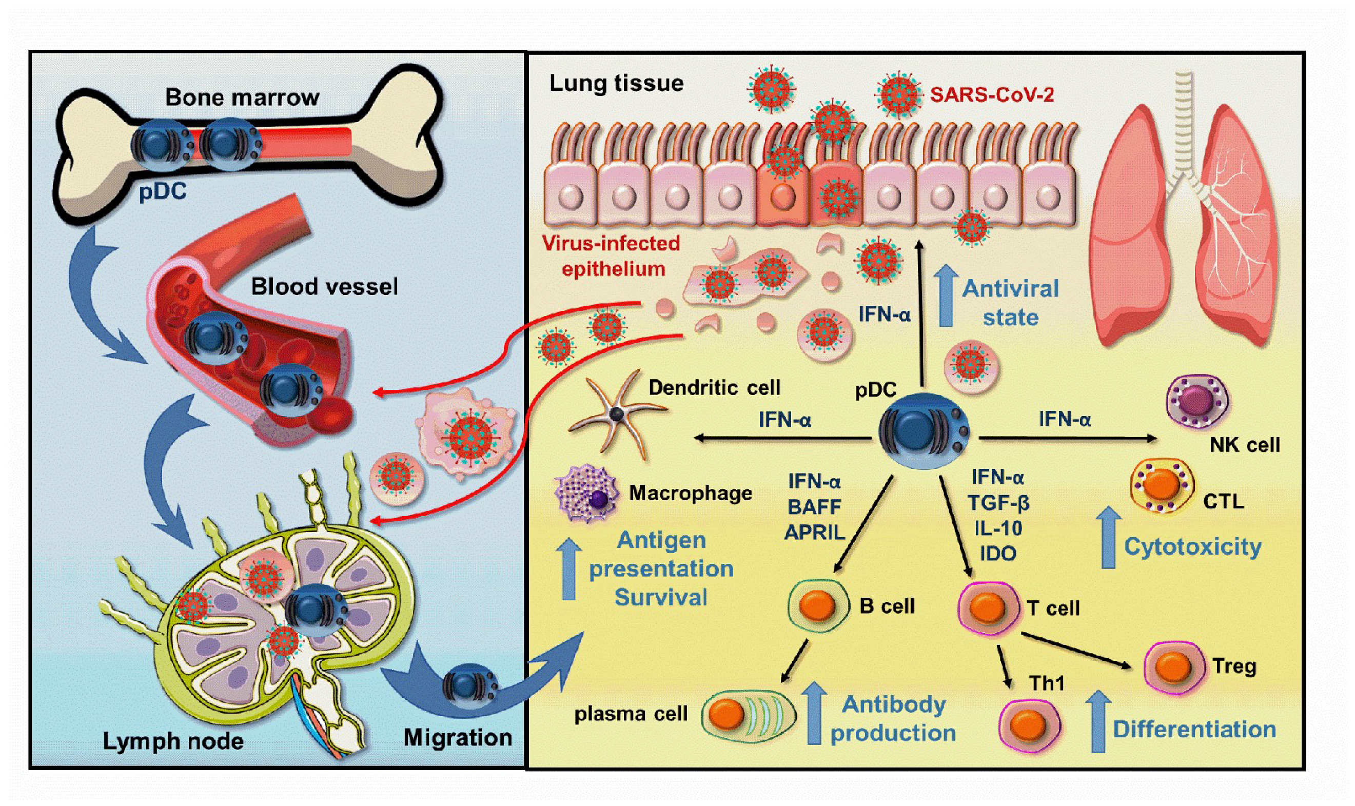 Ijms 23 10968 g001 Ijms 23 10968 g001