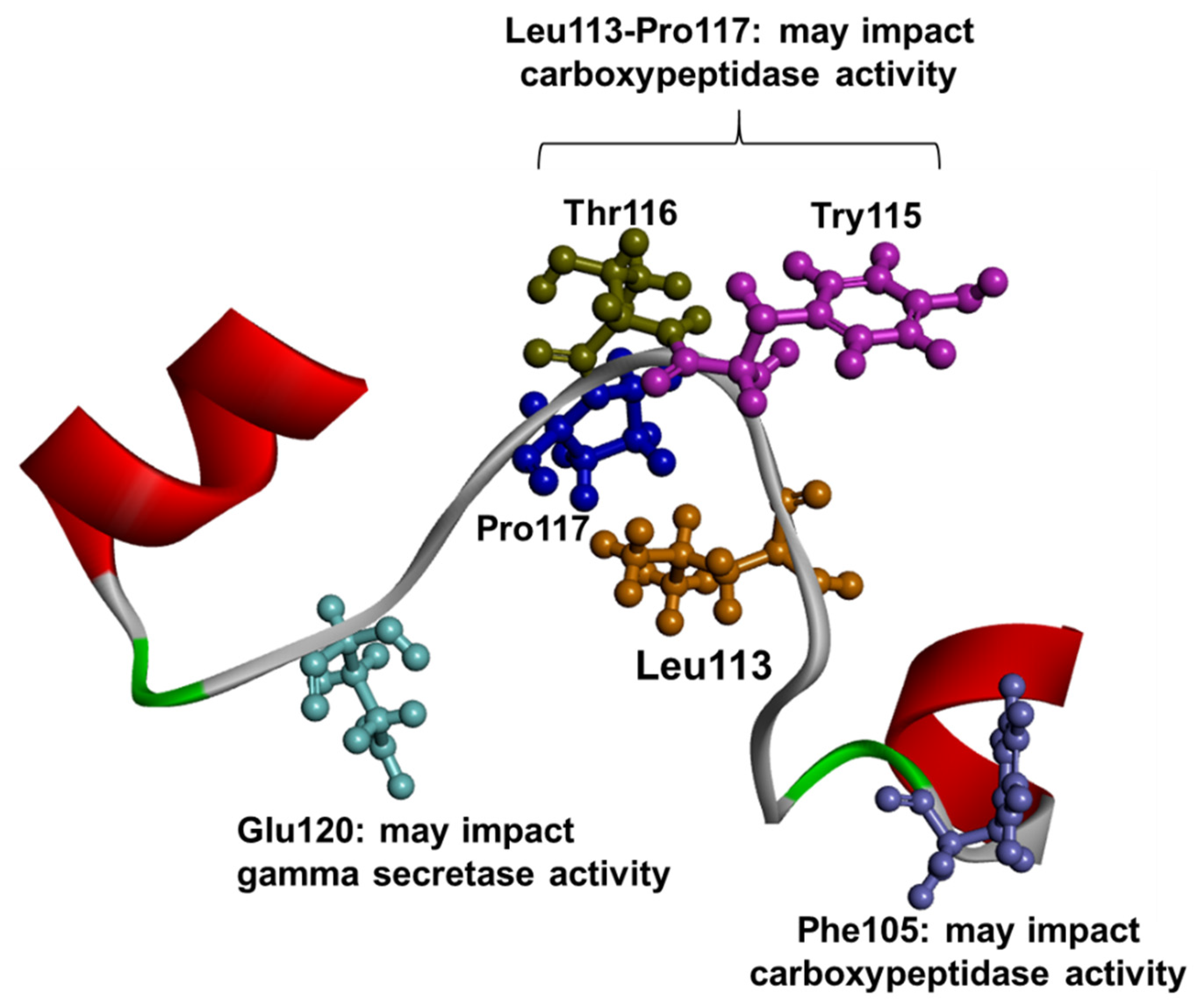 Ijms 23 10970 g004 Ijms 23 10970 g004