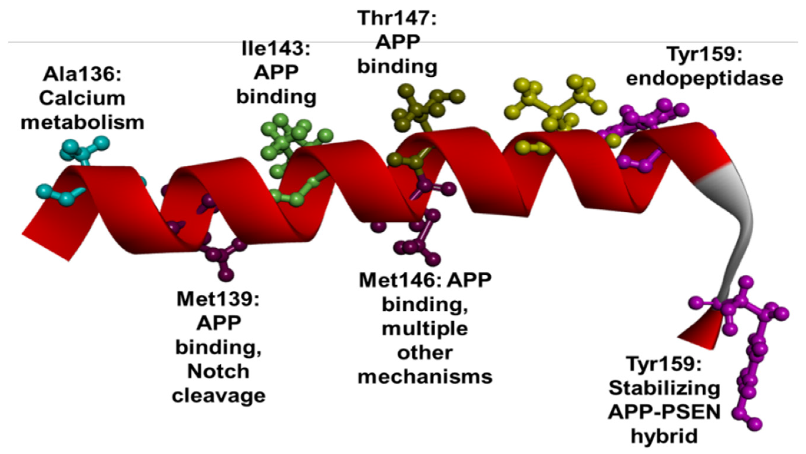 Ijms 23 10970 g005 Ijms 23 10970 g005