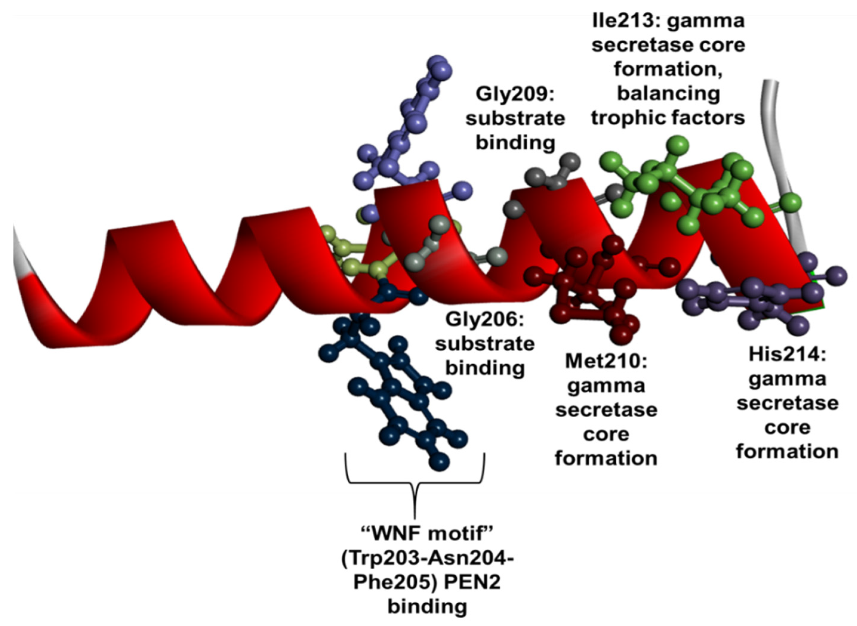 Ijms 23 10970 g007 Ijms 23 10970 g007