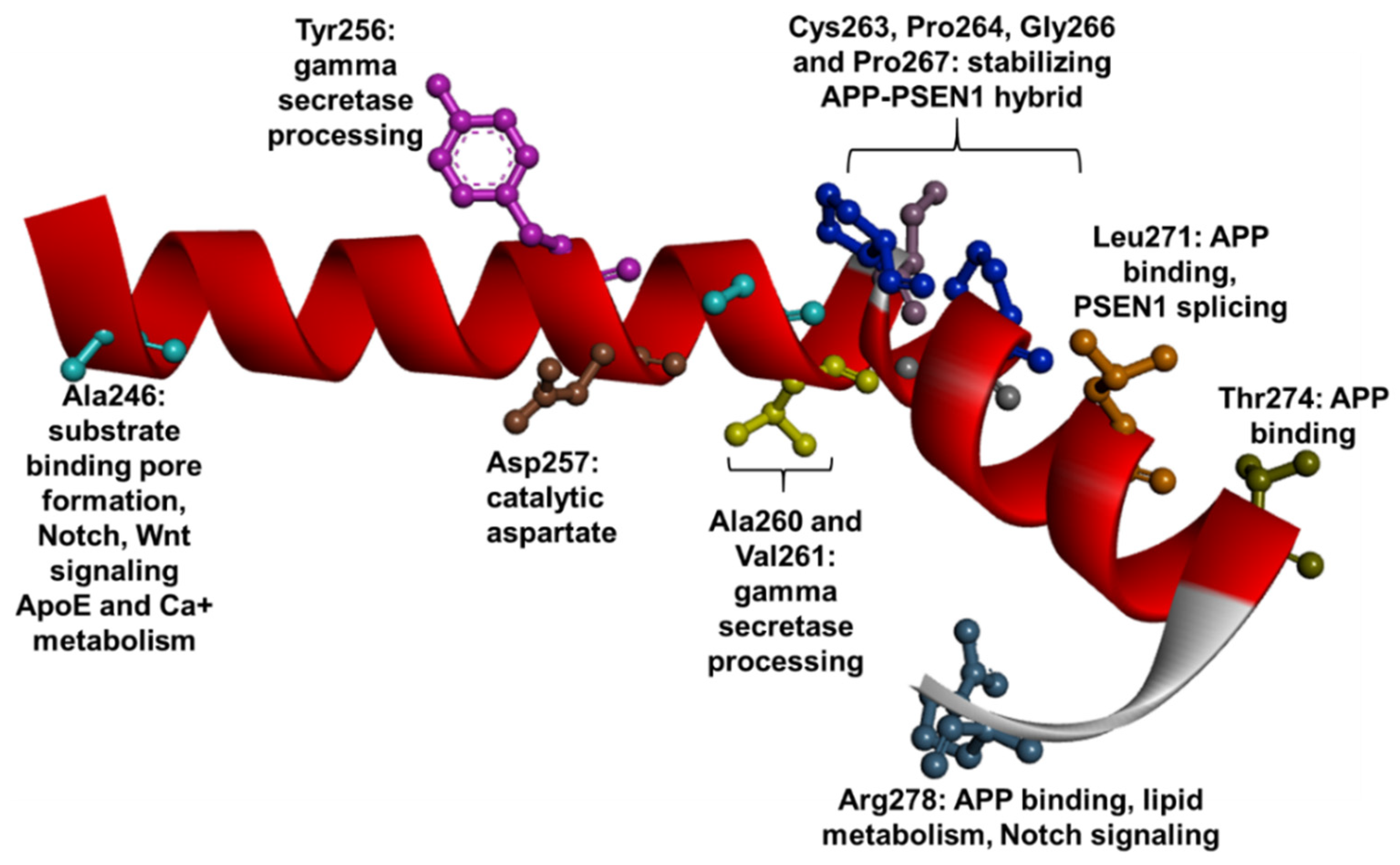 Ijms 23 10970 g009 Ijms 23 10970 g009