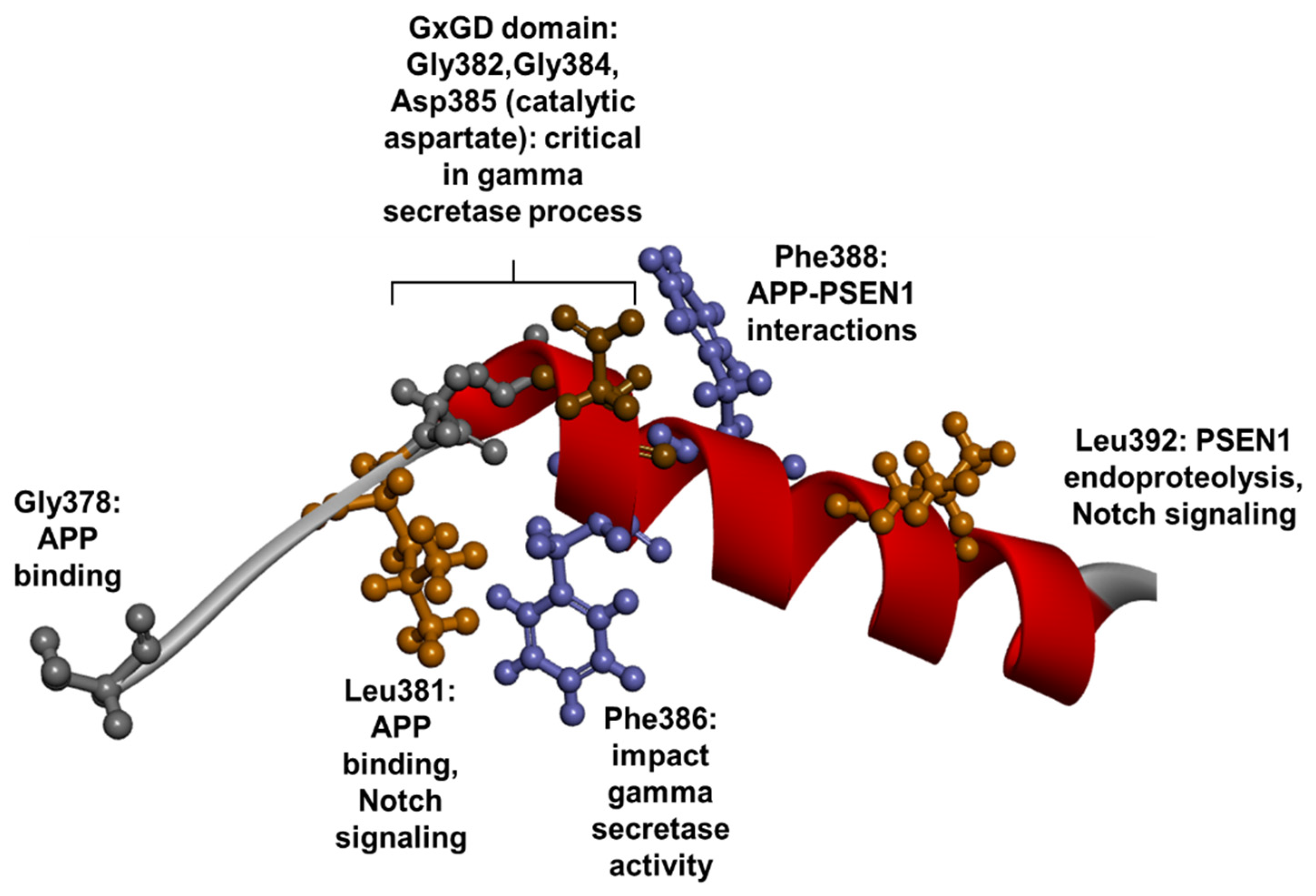Ijms 23 10970 g011 Ijms 23 10970 g011