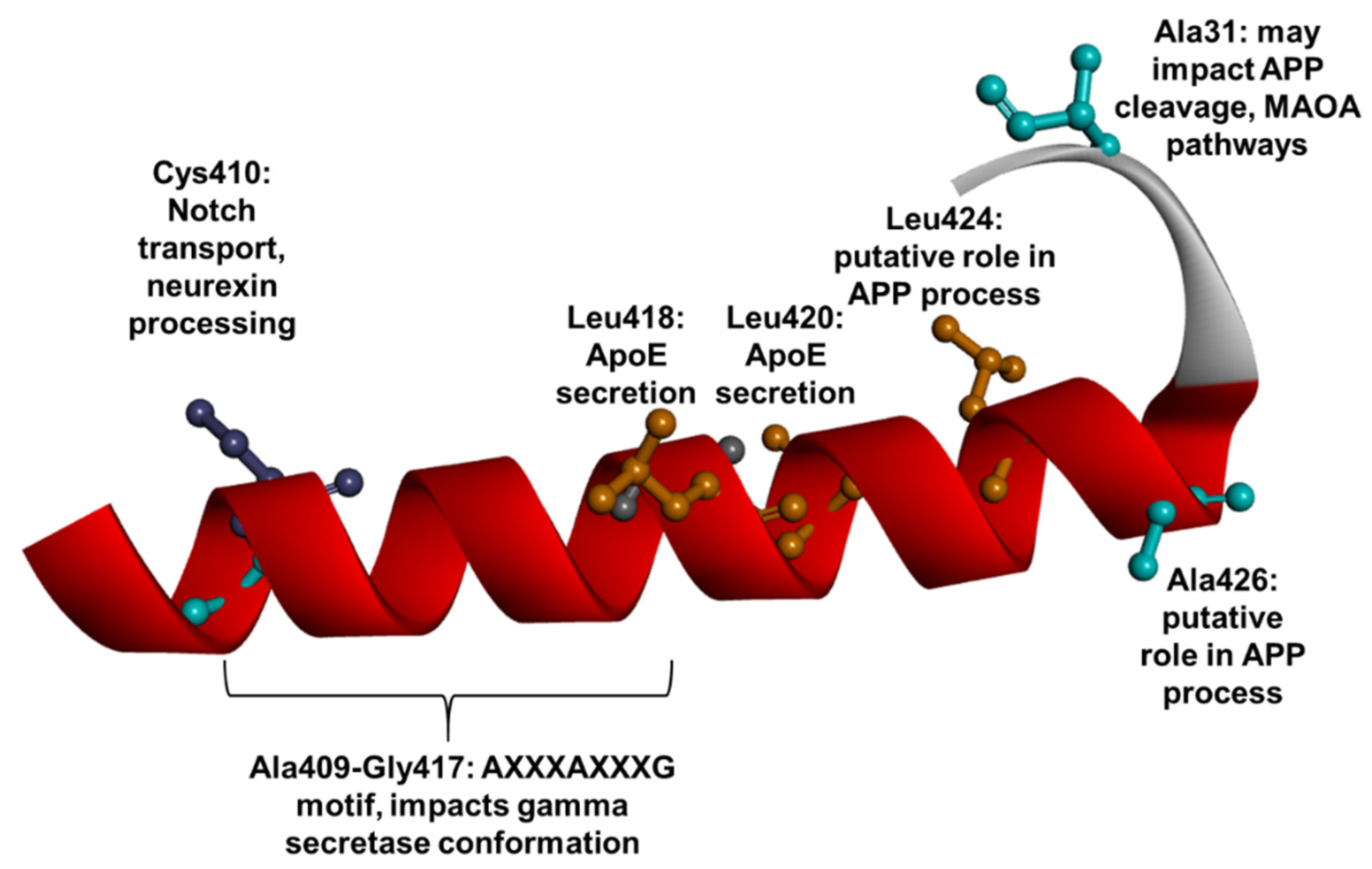 Ijms 23 10970 g012 Ijms 23 10970 g012