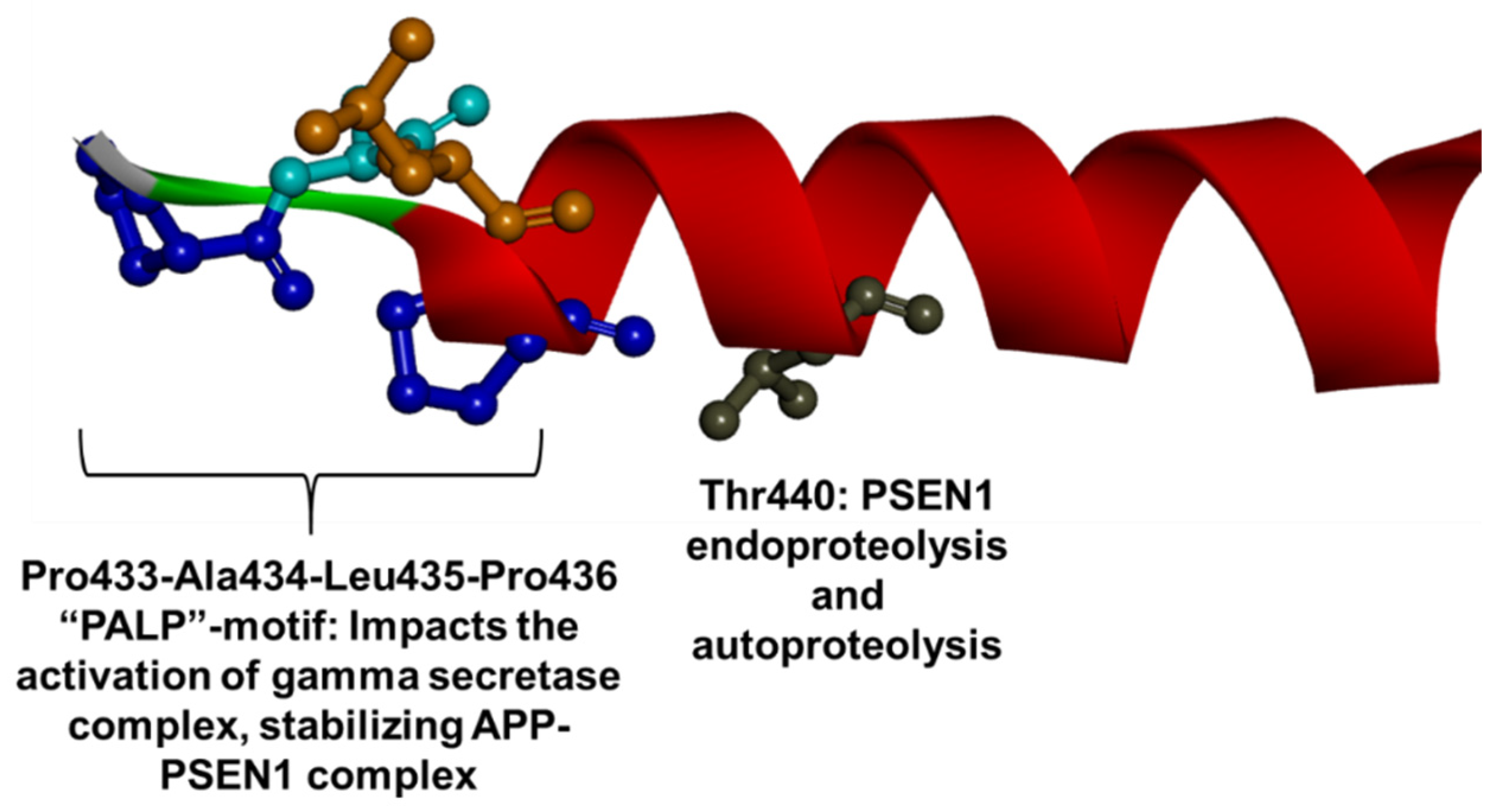 Ijms 23 10970 g013 Ijms 23 10970 g013