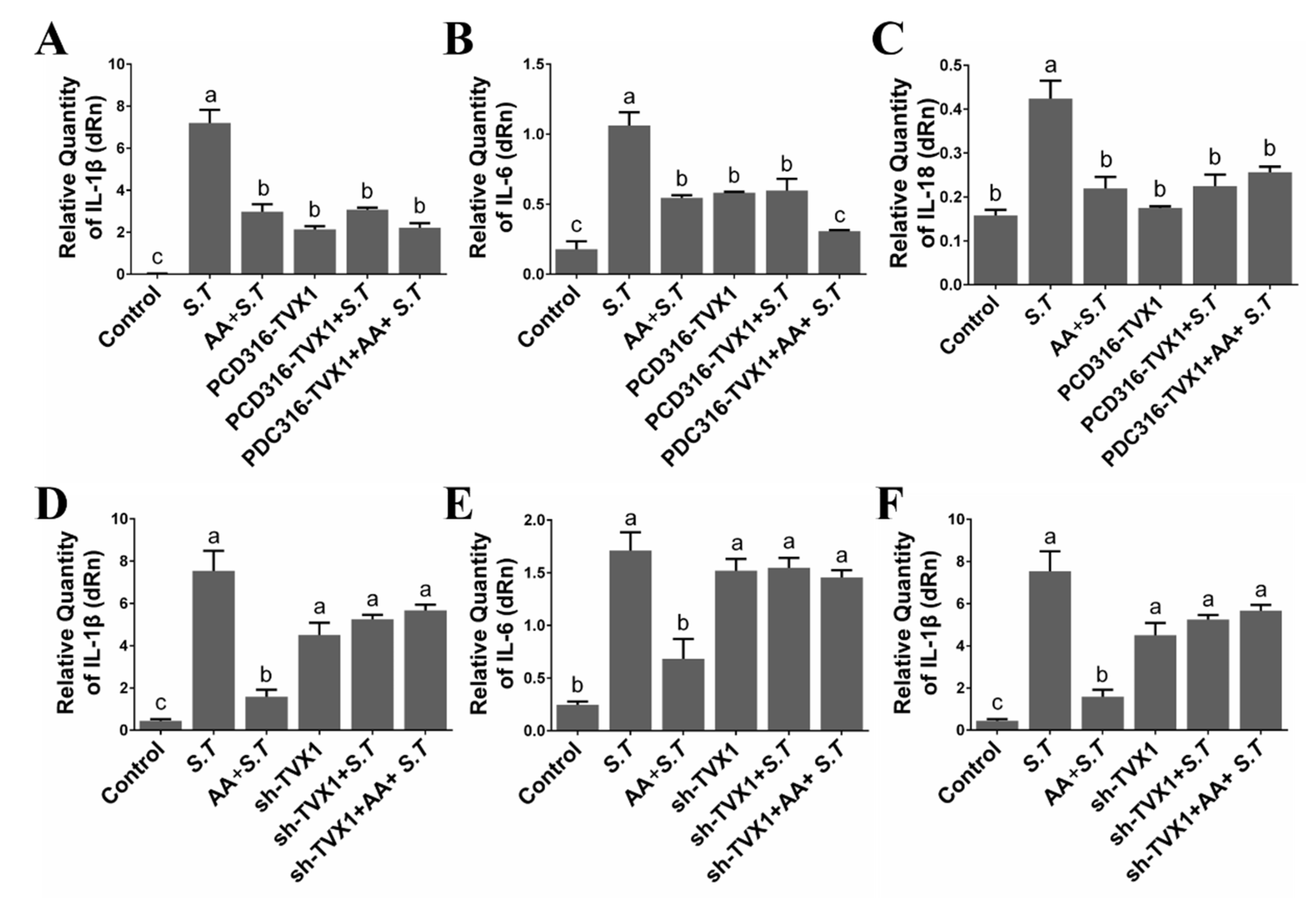 Ijms 23 10978 g004 Ijms 23 10978 g004