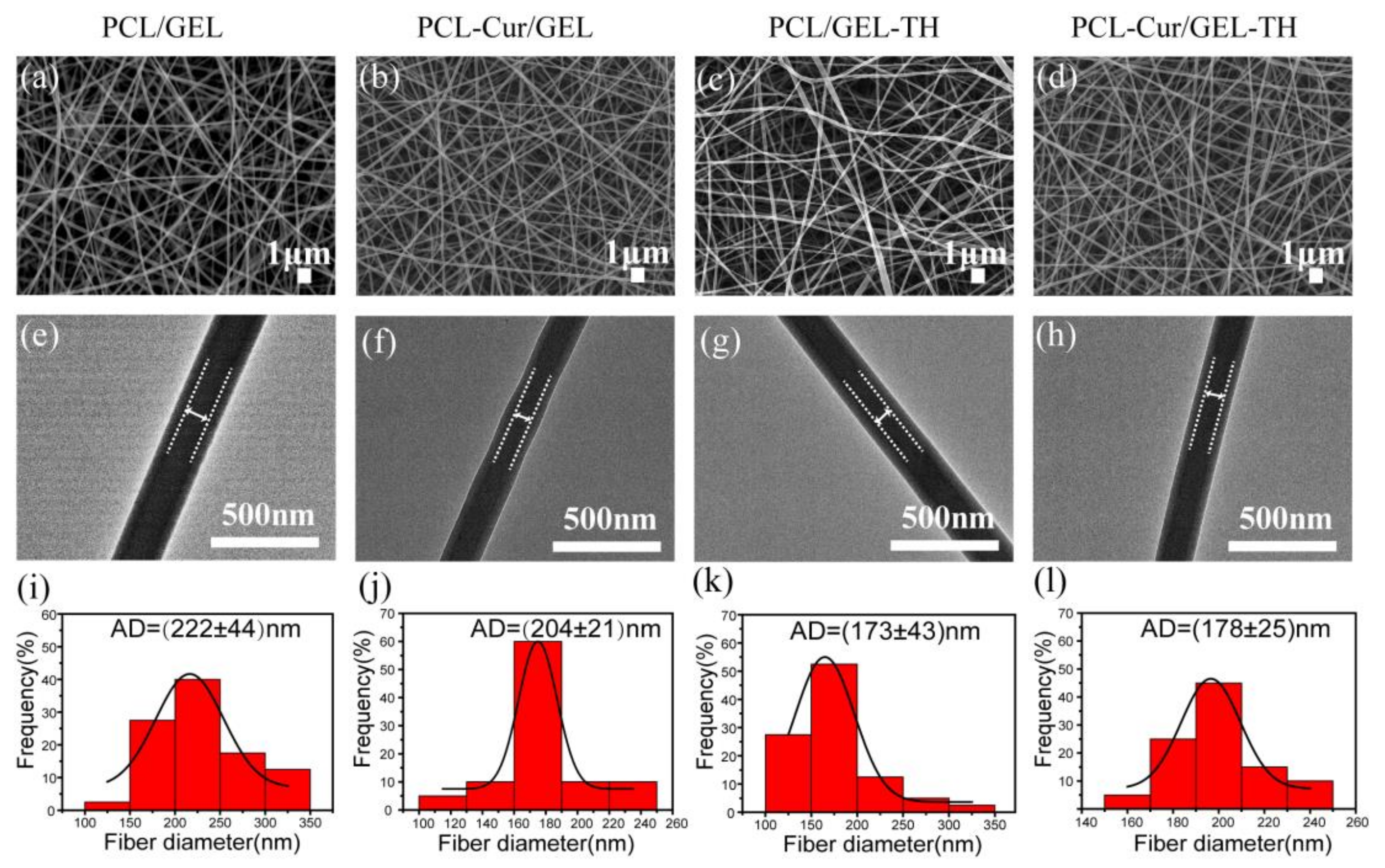 Ijms 23 10983 g001 550