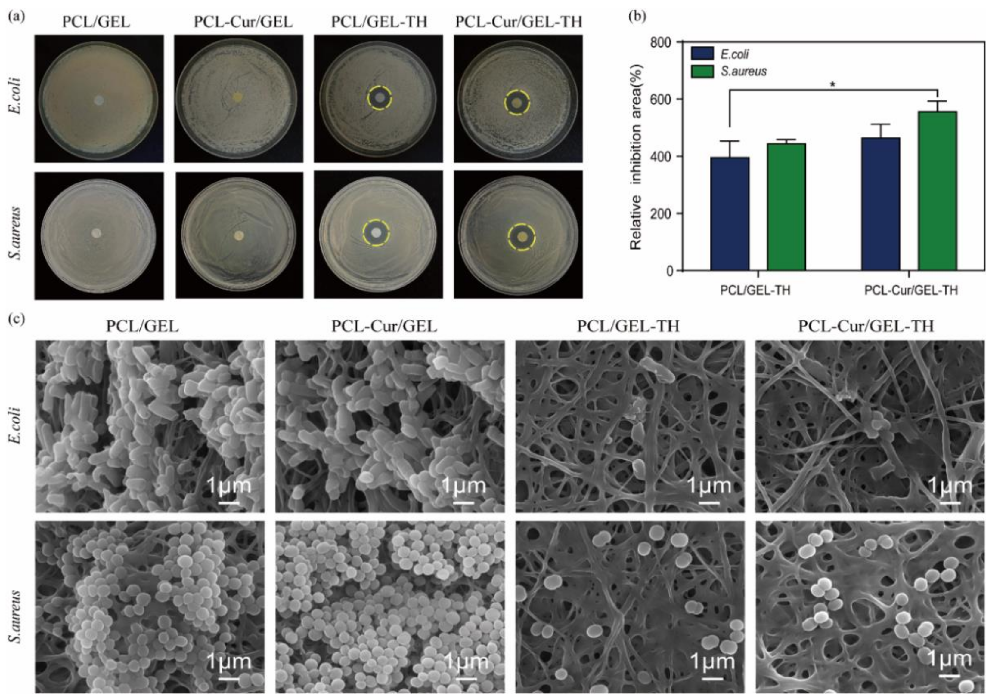 Ijms 23 10983 g004 550