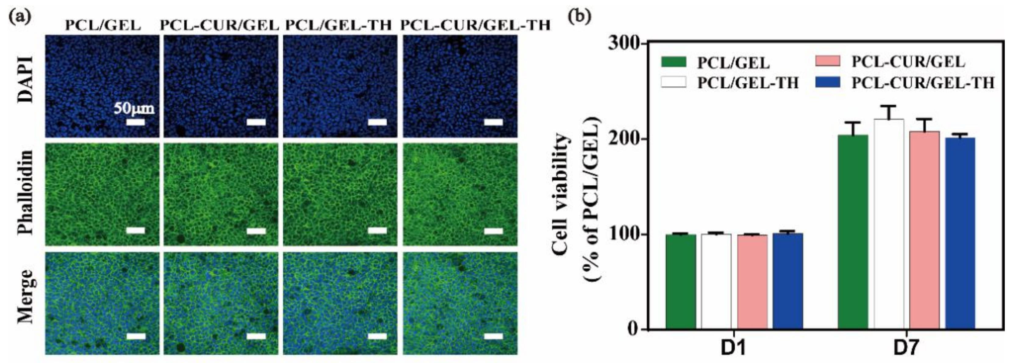Ijms 23 10983 g006 550