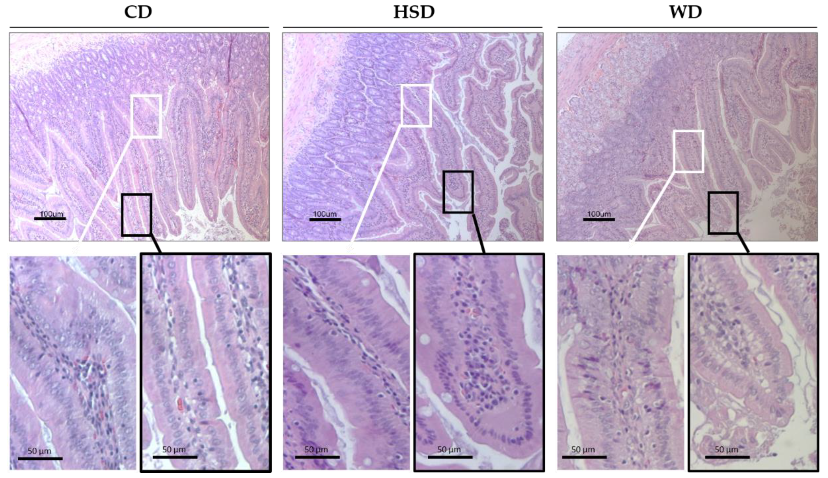 Ijms 23 10984 g004 Ijms 23 10984 g004