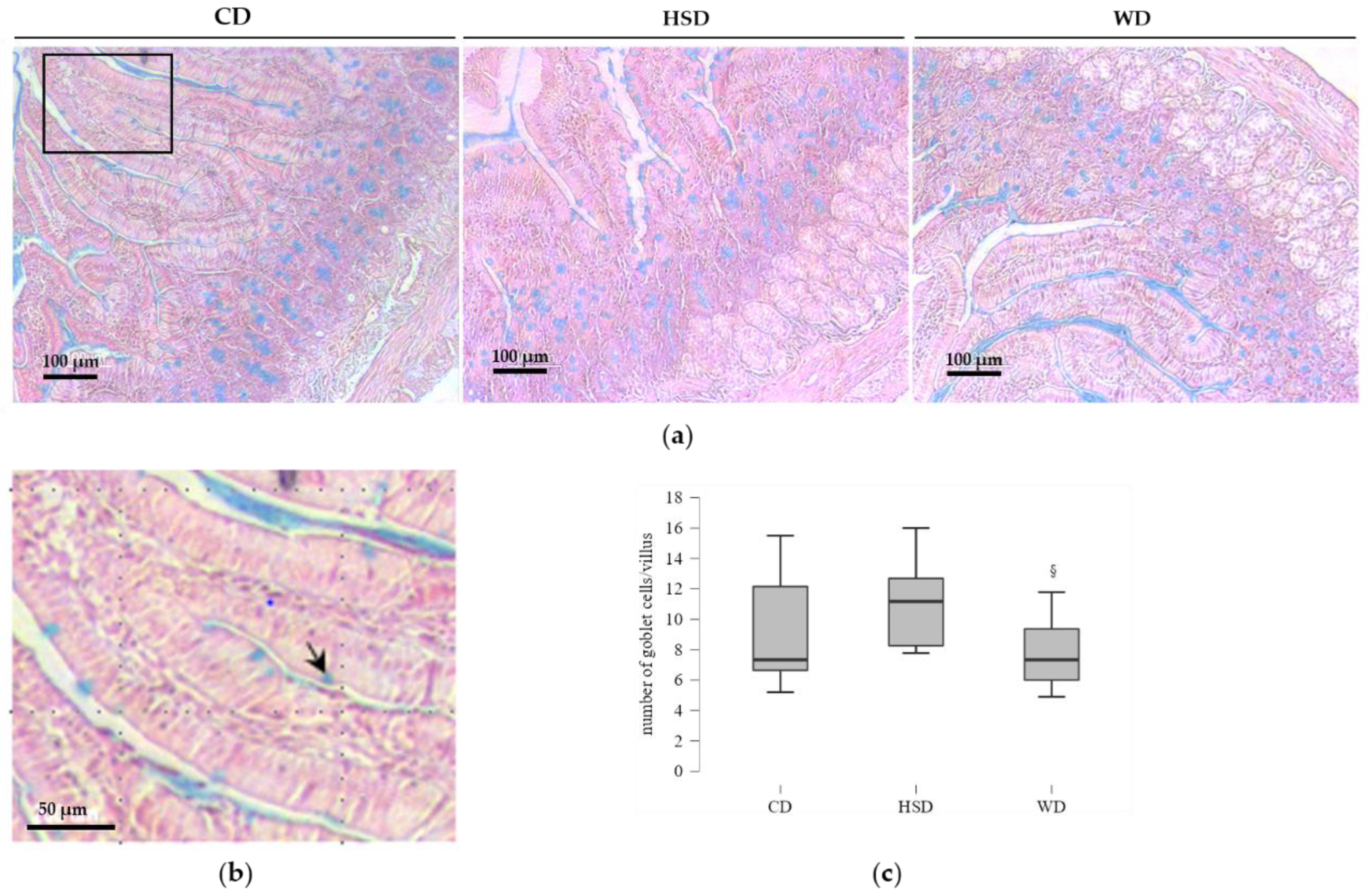 Ijms 23 10984 g005 Ijms 23 10984 g005
