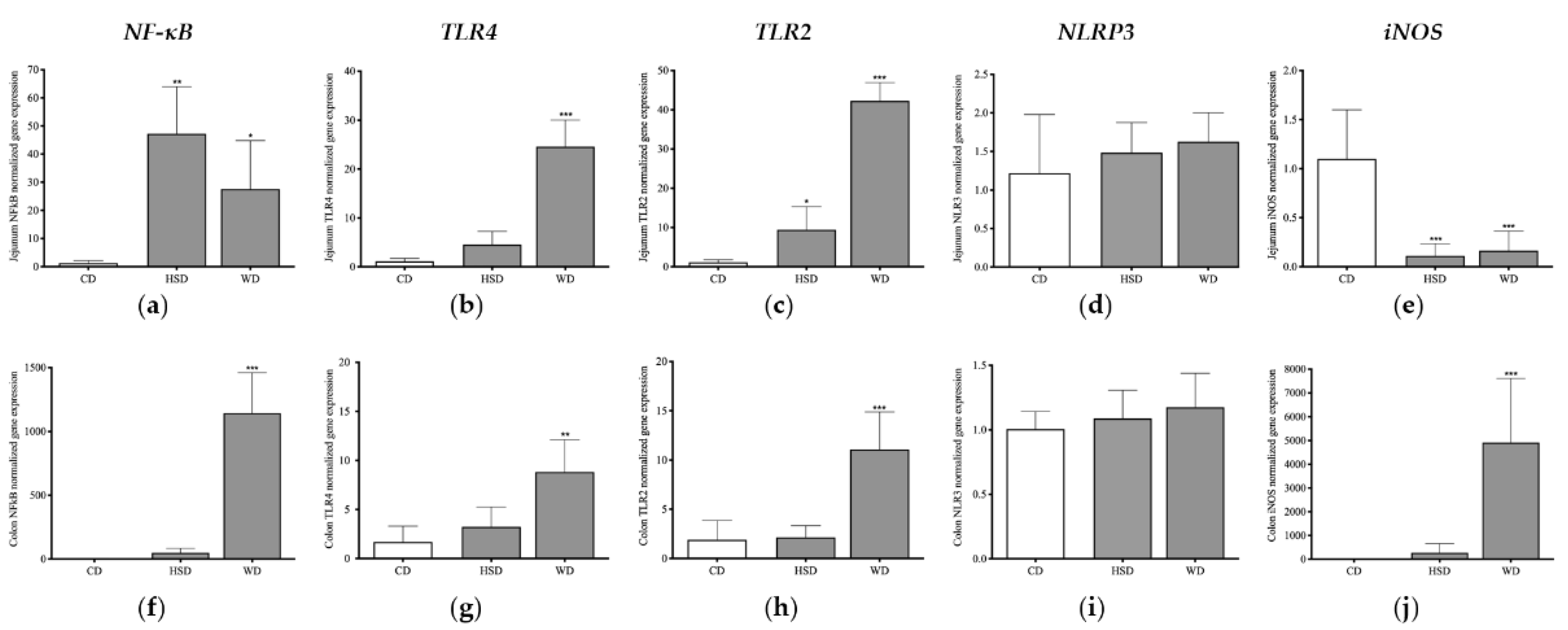 Ijms 23 10984 g006 Ijms 23 10984 g006