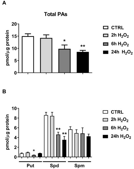 ととと Research progress of Ce-based electrocatalysts in hydrogen