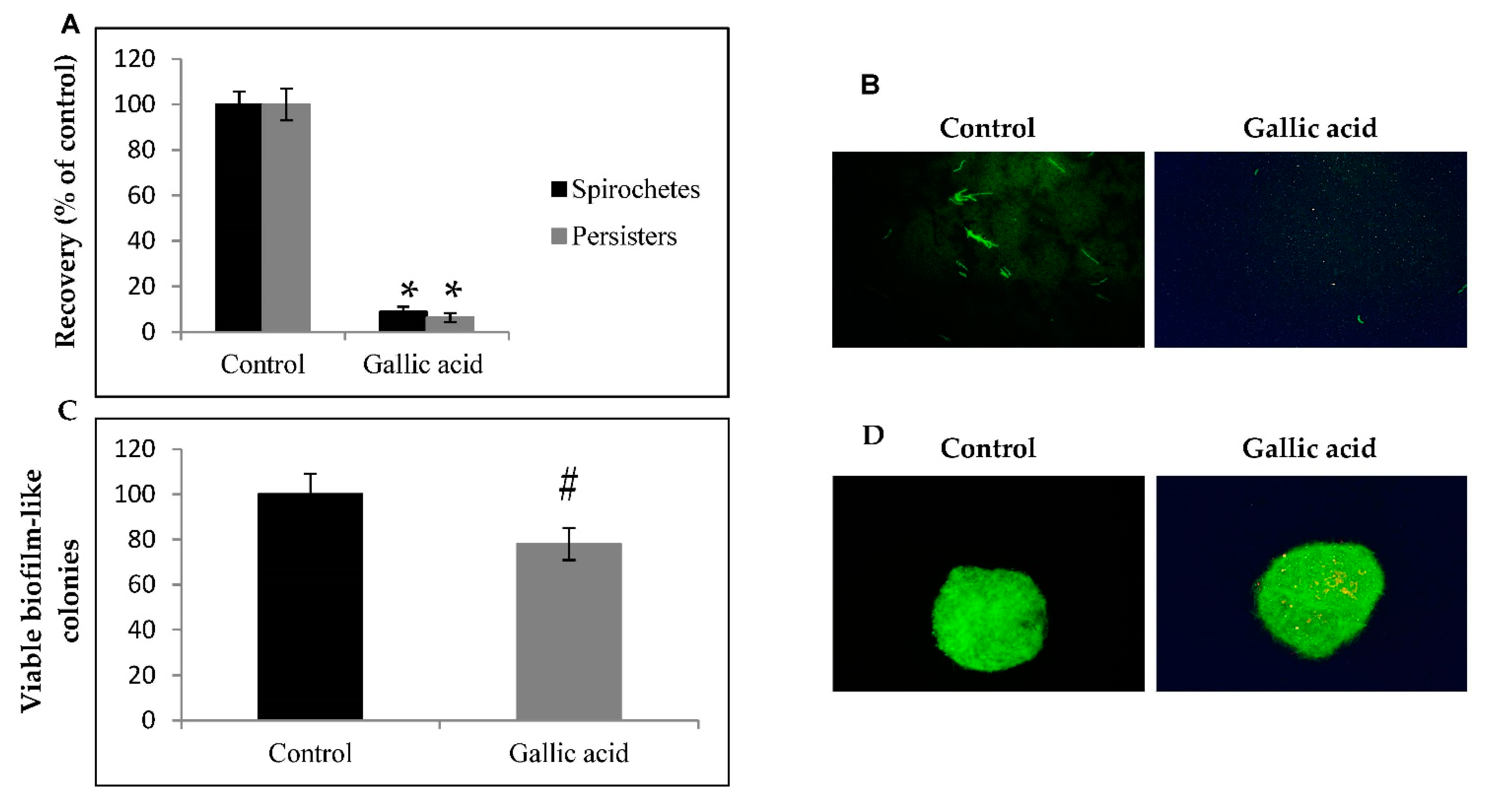 Ijms 23 10987 g002 Ijms 23 10987 g002