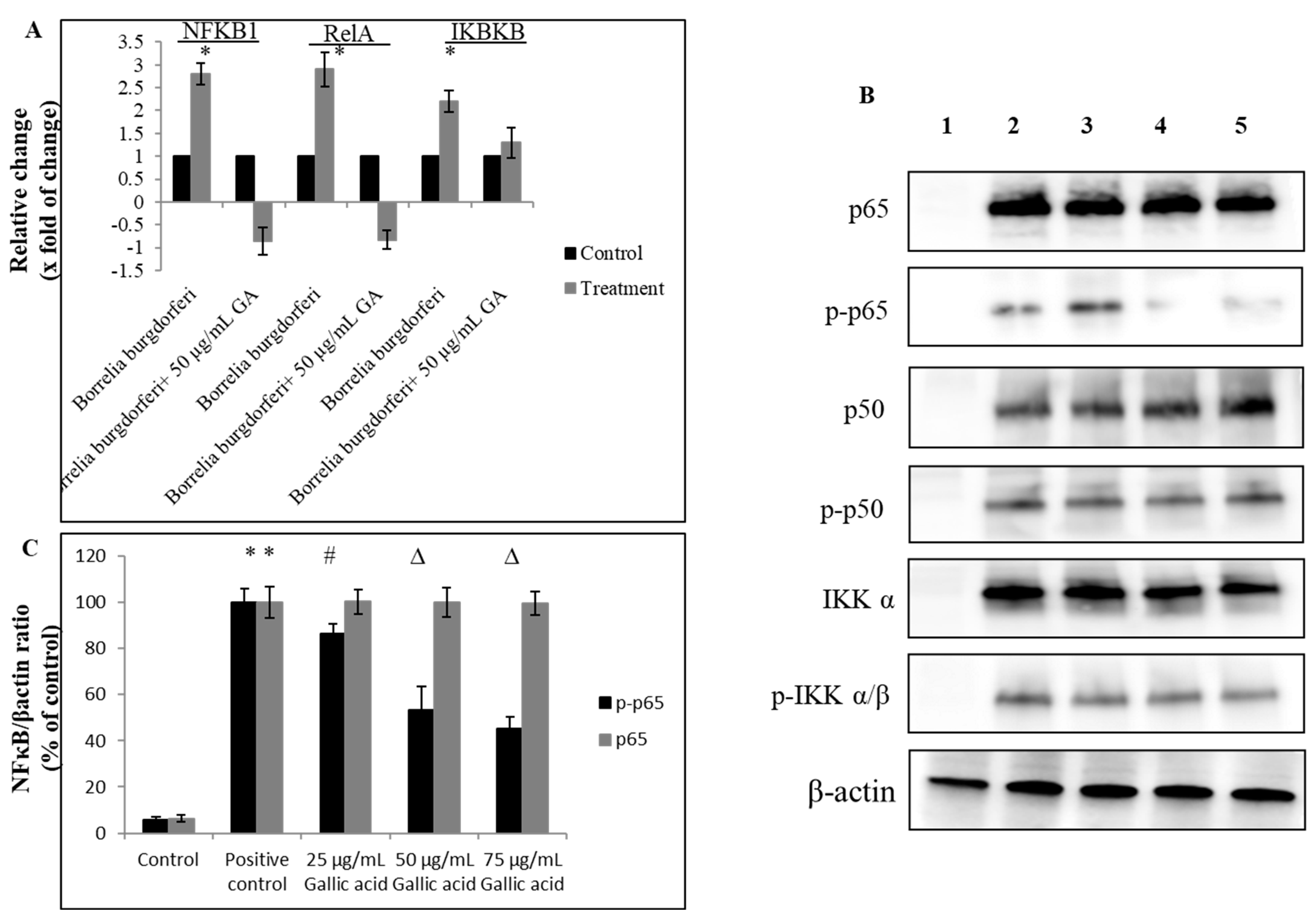 Ijms 23 10987 g005 Ijms 23 10987 g005