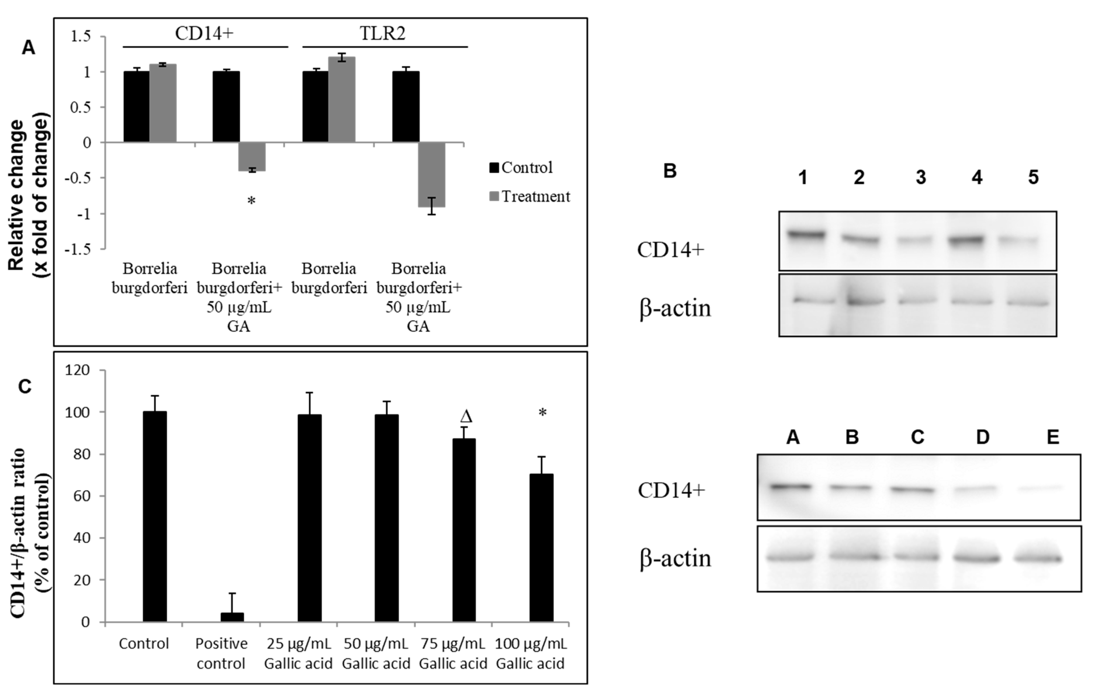 Ijms 23 10987 g006 Ijms 23 10987 g006