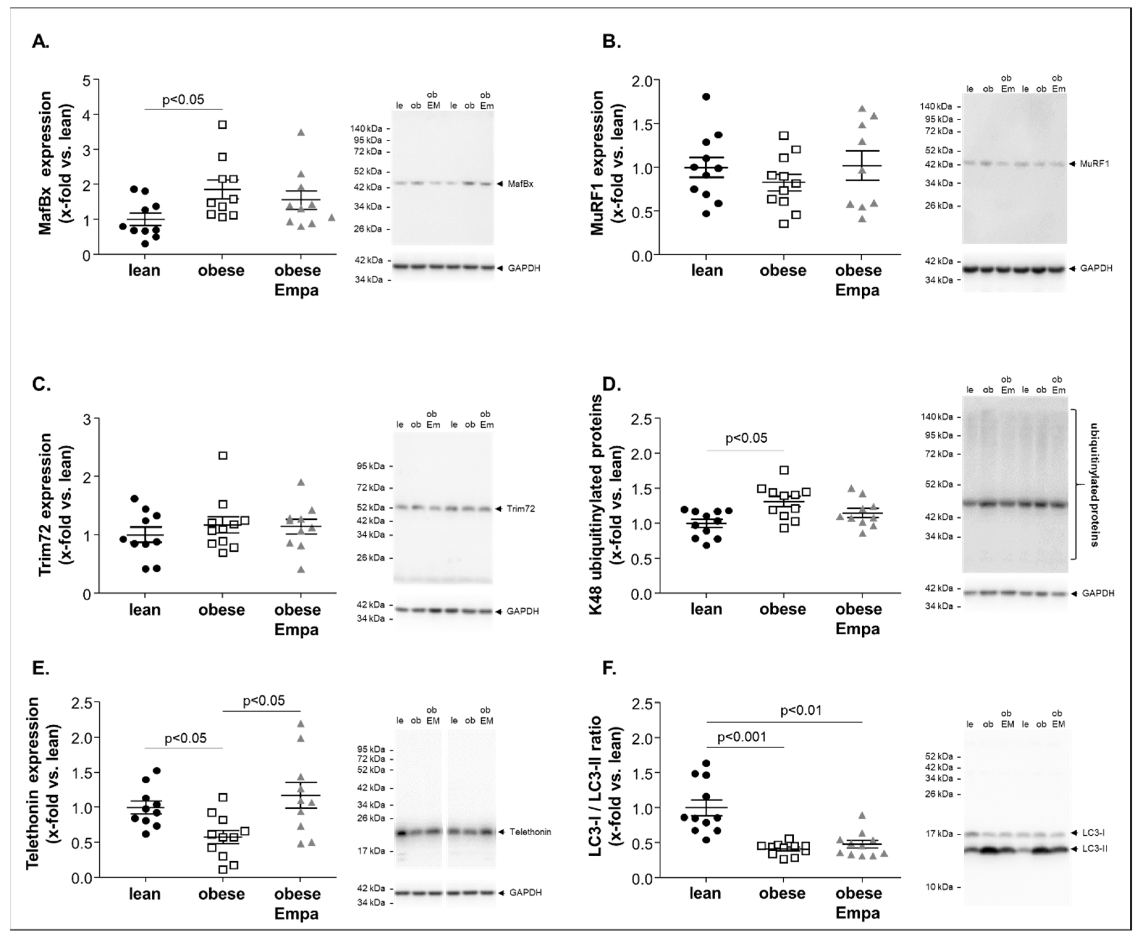 Ijms 23 10989 g003 Ijms 23 10989 g003